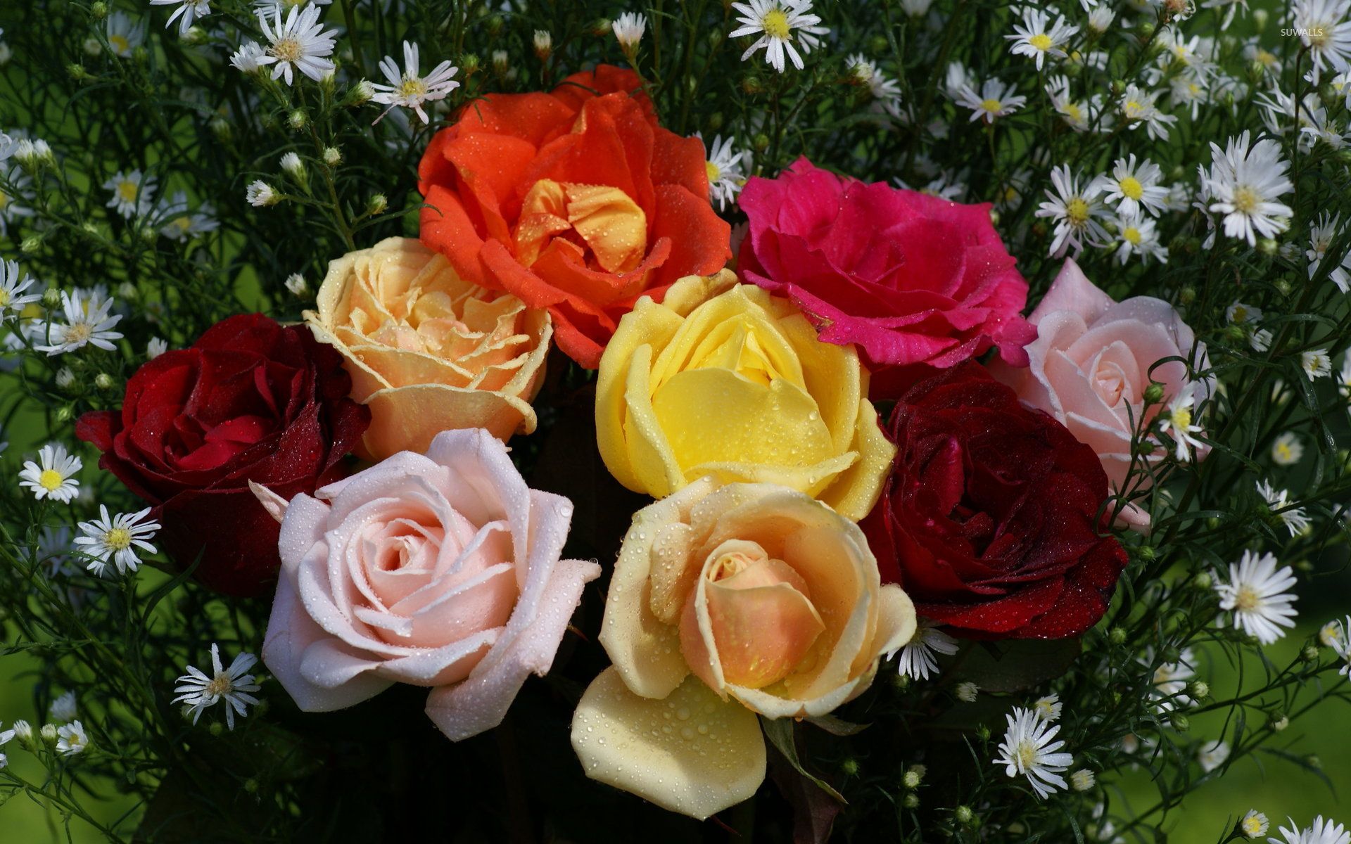1920x1200 Colorful Rose Bouquet [2] wallpaper wallpaper