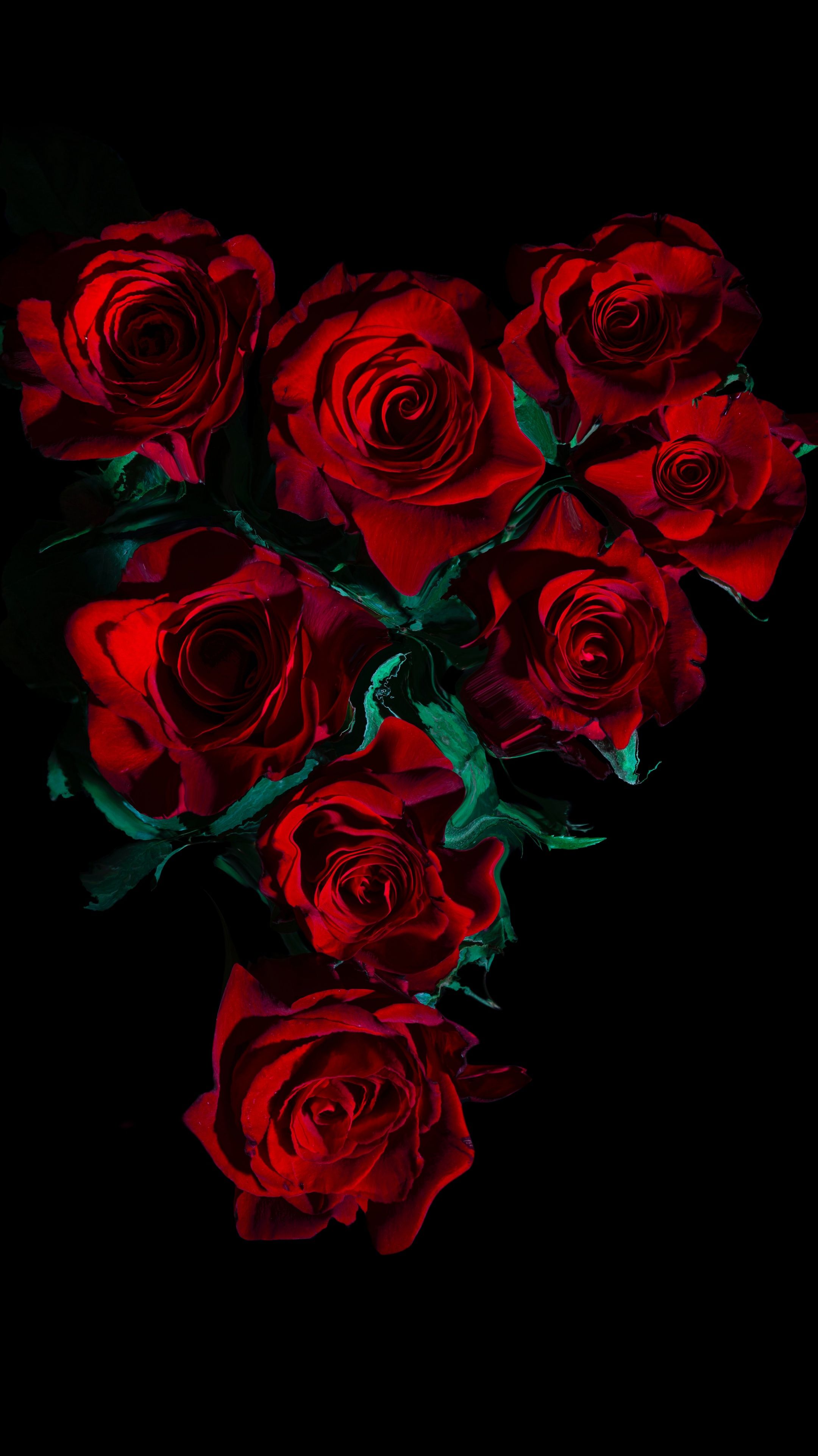 2160x3840 Red Roses Wallpaper 4K, Flower bouquet, Black background