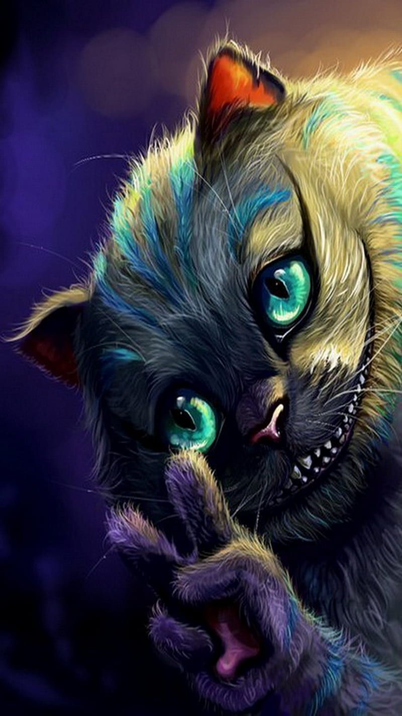 800x1422 Winner, cat, scary, sign, HD phone wallpaper