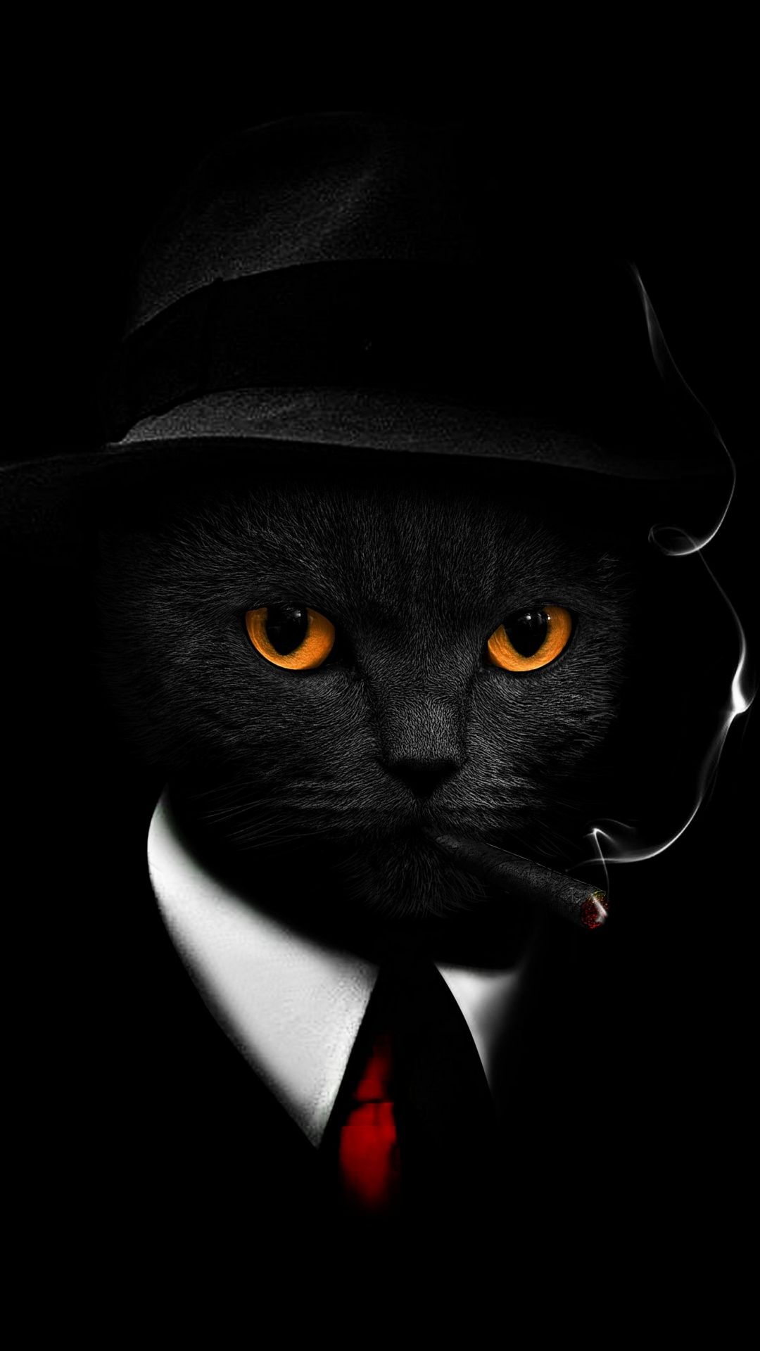 1080x1920 Black Cat Wallpaper 4K, Black background, Hat, Suit