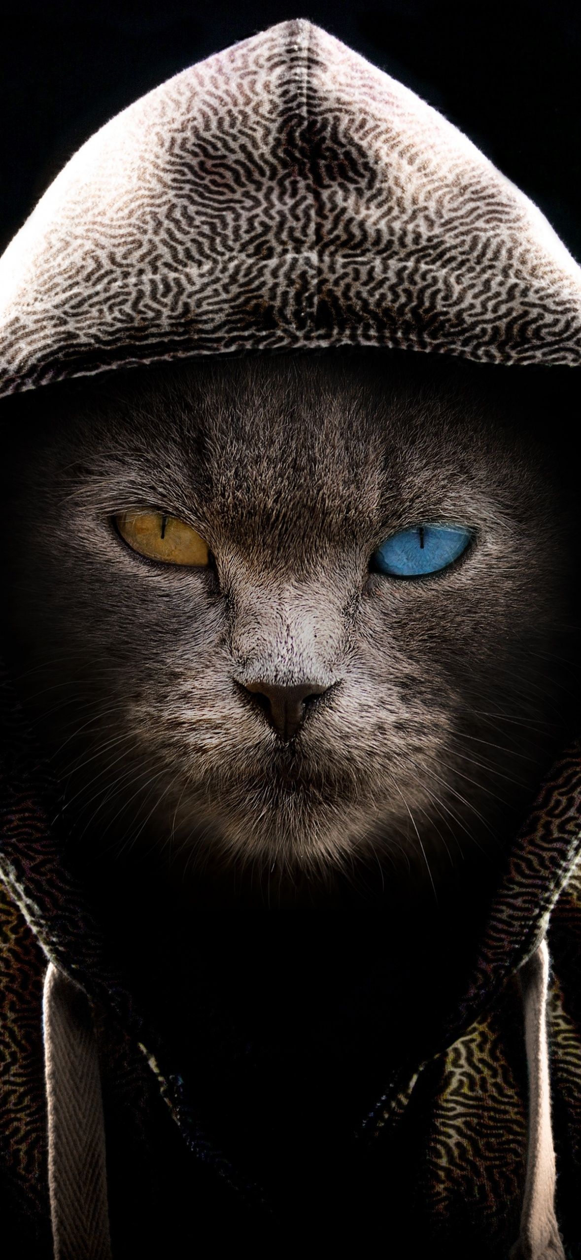 1179x2556 Scary Cat Wallpaper 4K, Hoodie, Animal Portrait