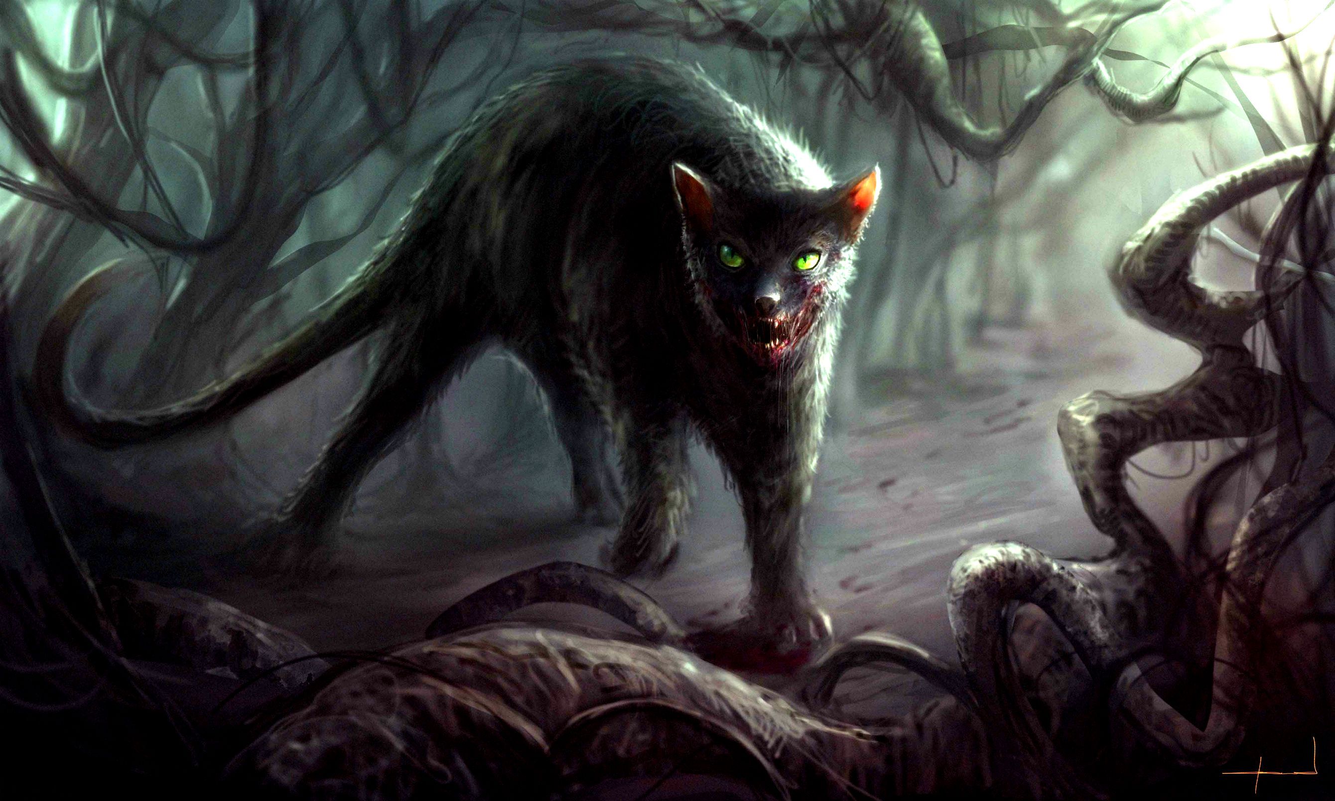 2680x1608 Phone wallpaper: Horror, Evil, Dark, Creepy, Cat, Scary, Spooky 552045