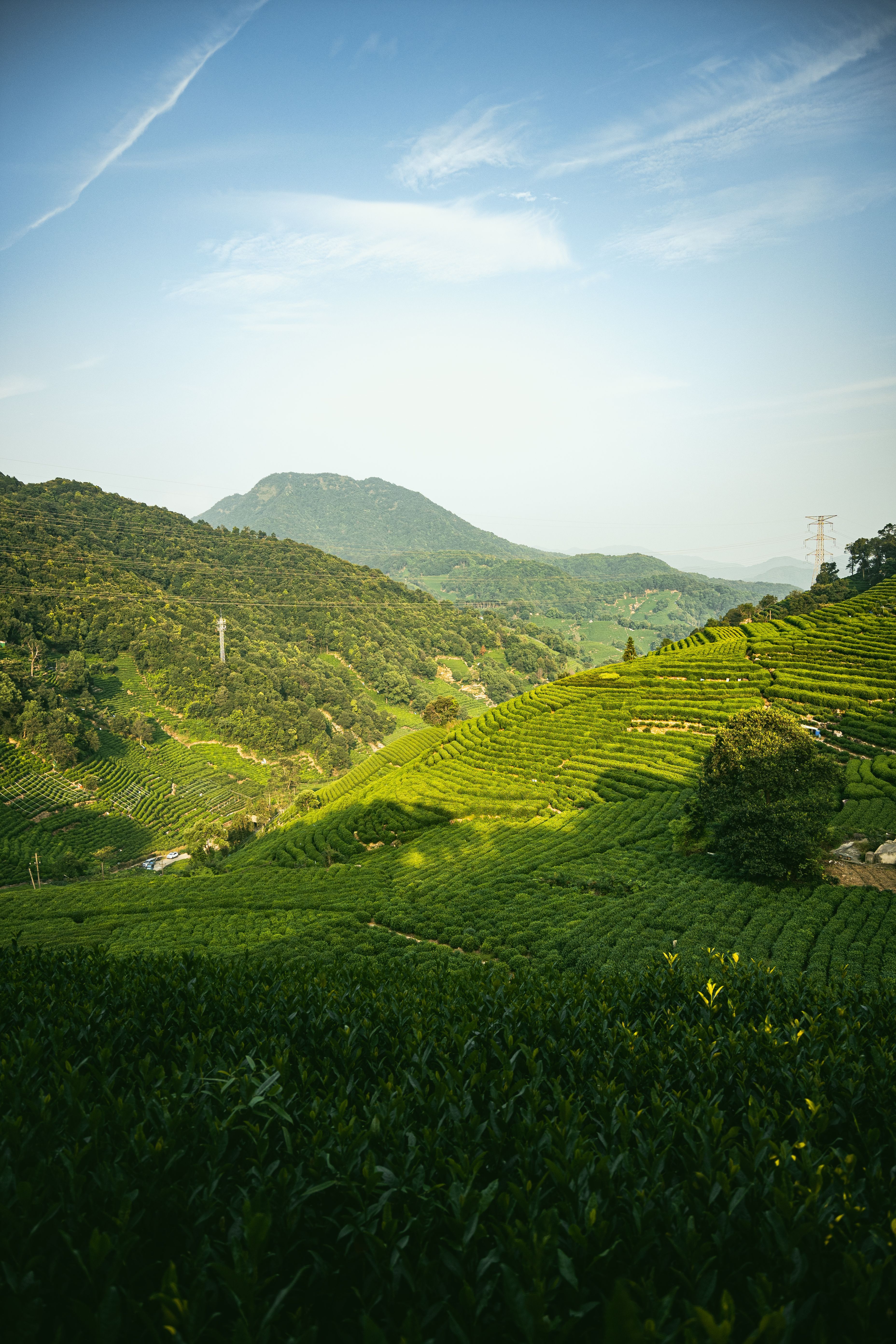 3712x5568 Scenic View of Fansipan Mountain in Vietnam · Free