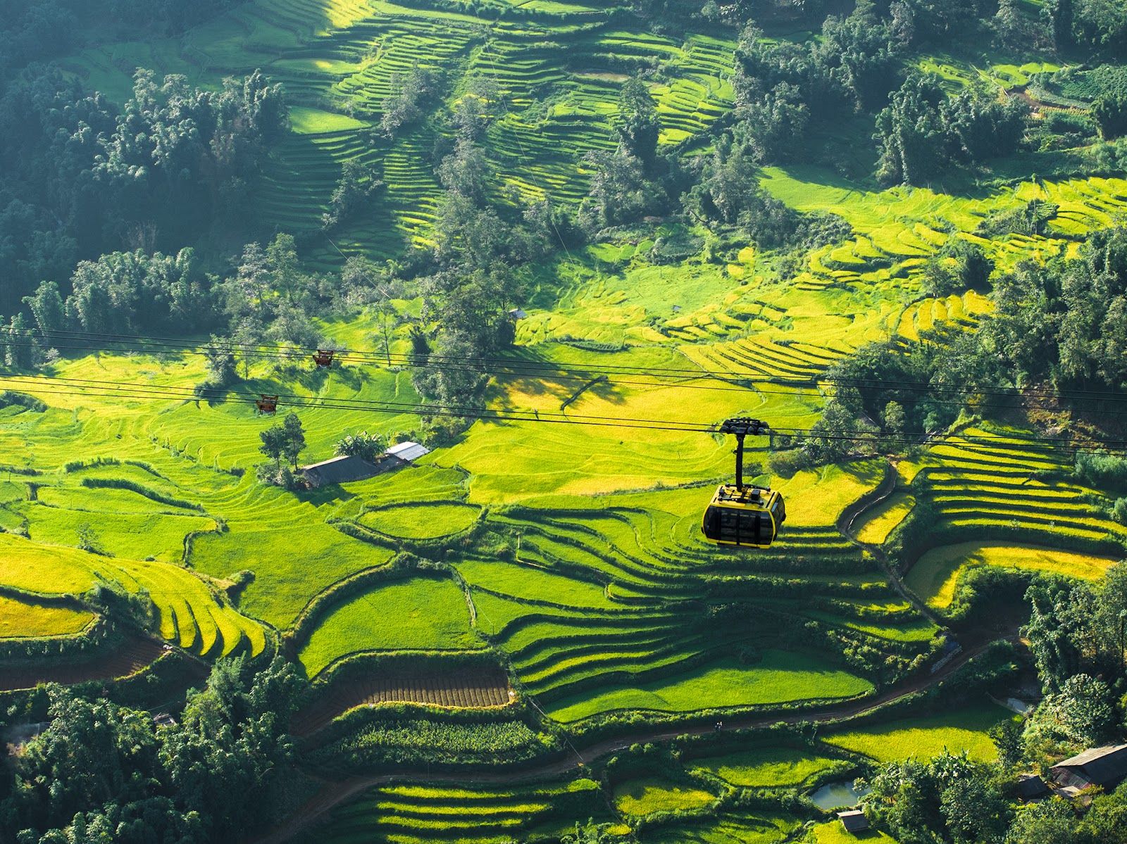 1600x1199 Fansipan is bustling with the Golden Season Festival of Ban May