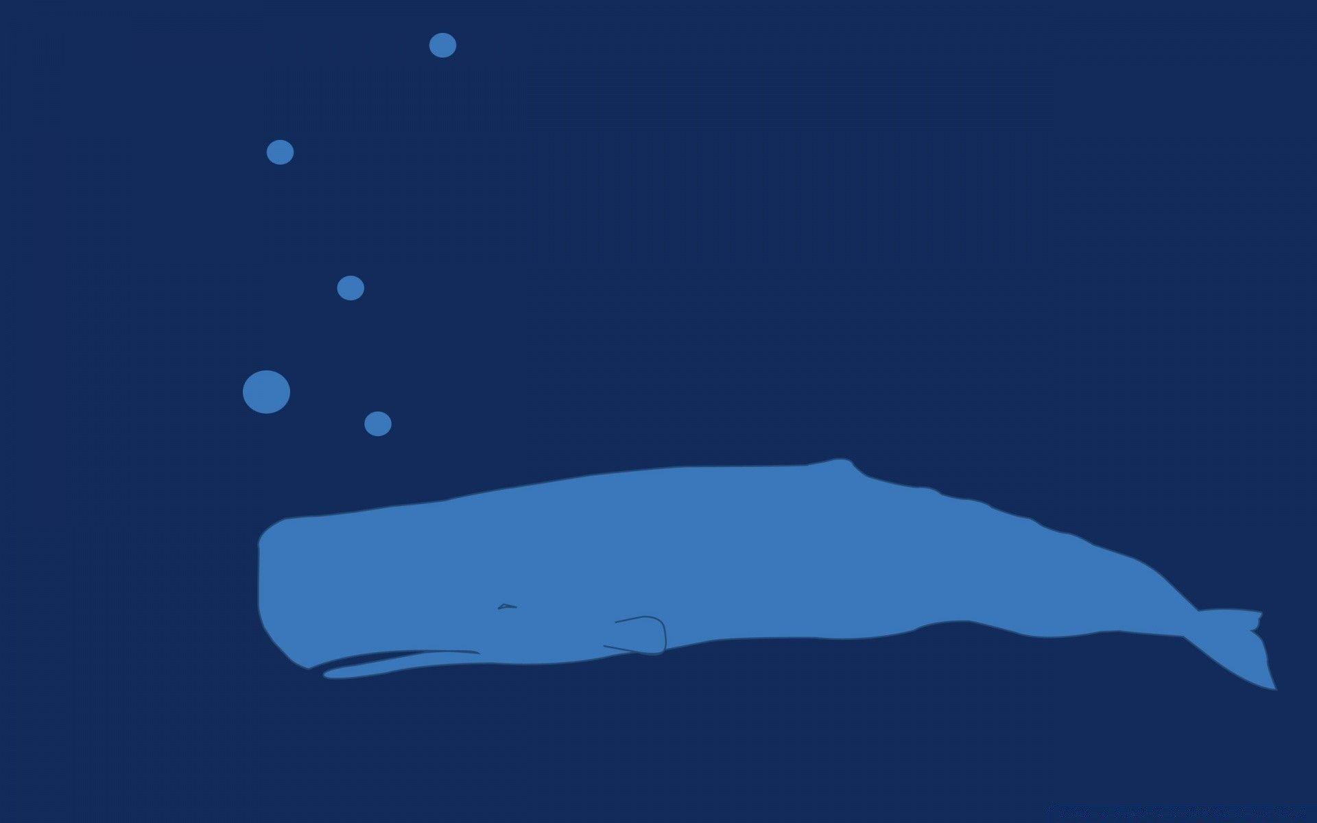 1920x1200 Whale Underwater Cartoon