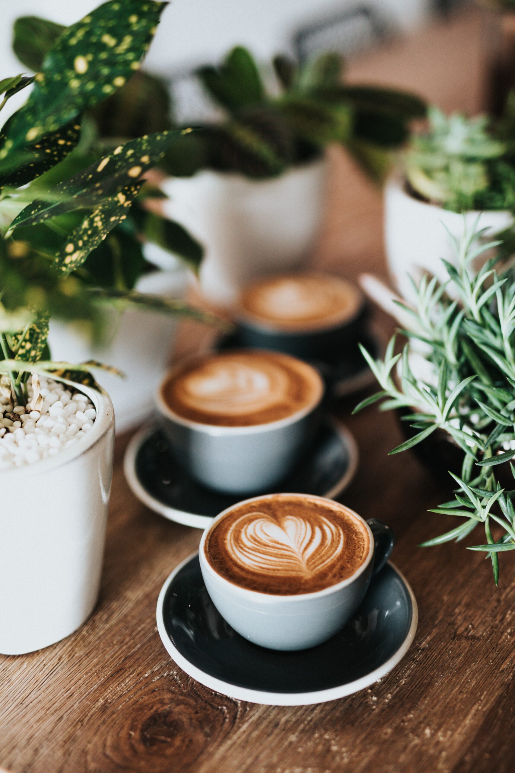 1707x2560 A guide to the best cafes to study in