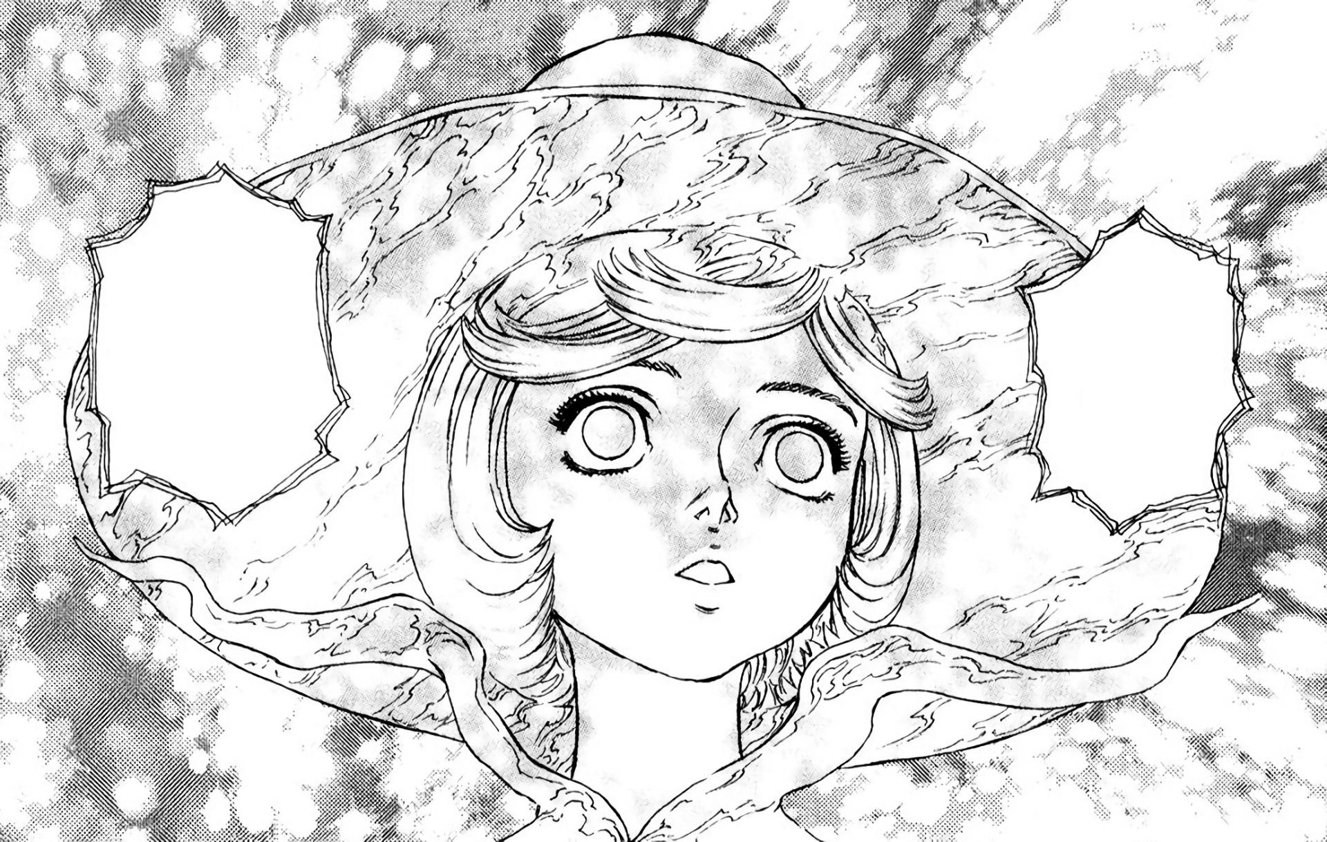 1920x1219 Download Schierke (Berserk) Anime Berserk HD Wallpaper