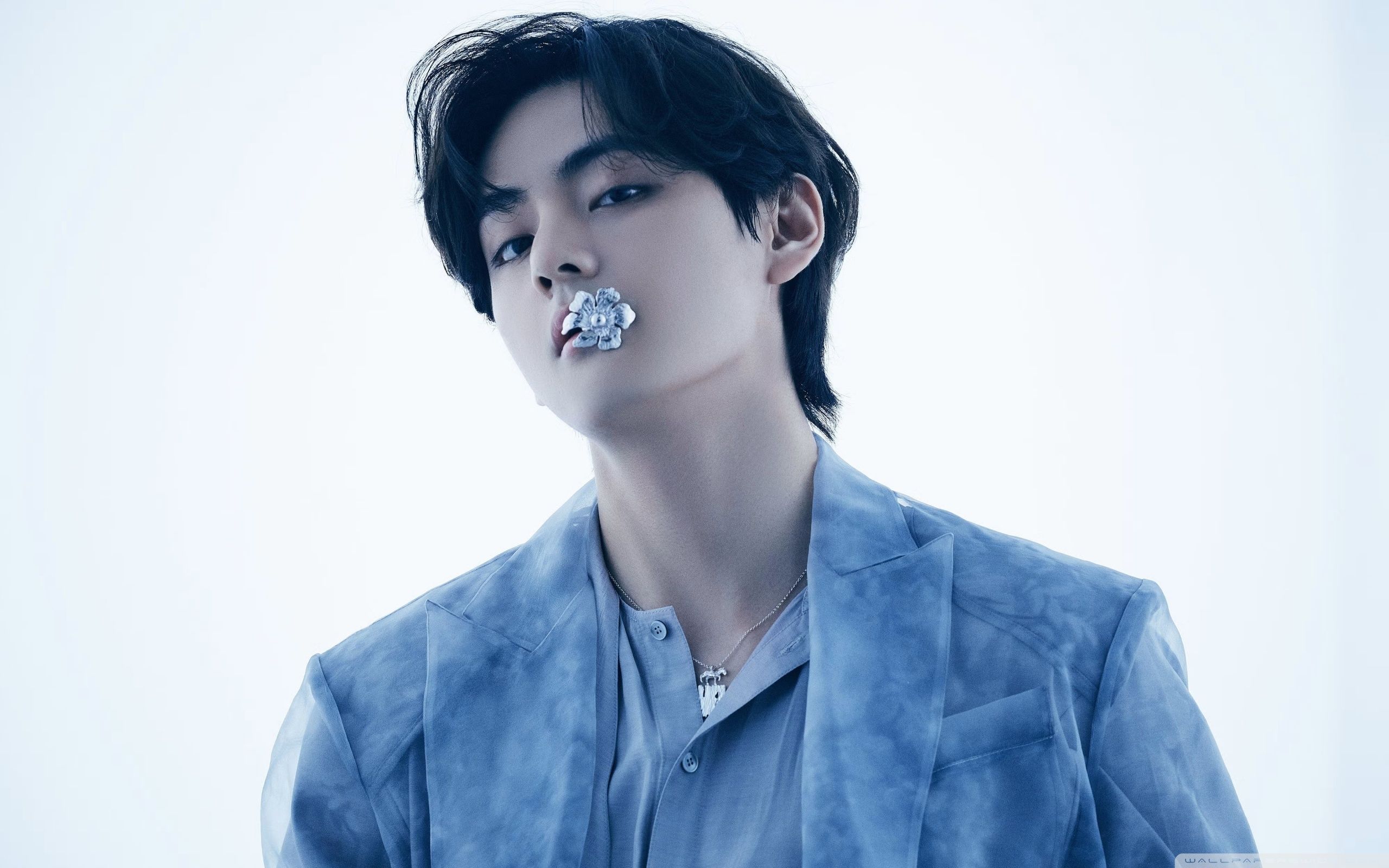 2560x1600 BTS V Kim Taehyung Singer 4K UHD Wallpaper for UltraHD Desktop and TV : Widescreen and UltraWide Display : Dual Monitor : Smartphone and Tablet Devices