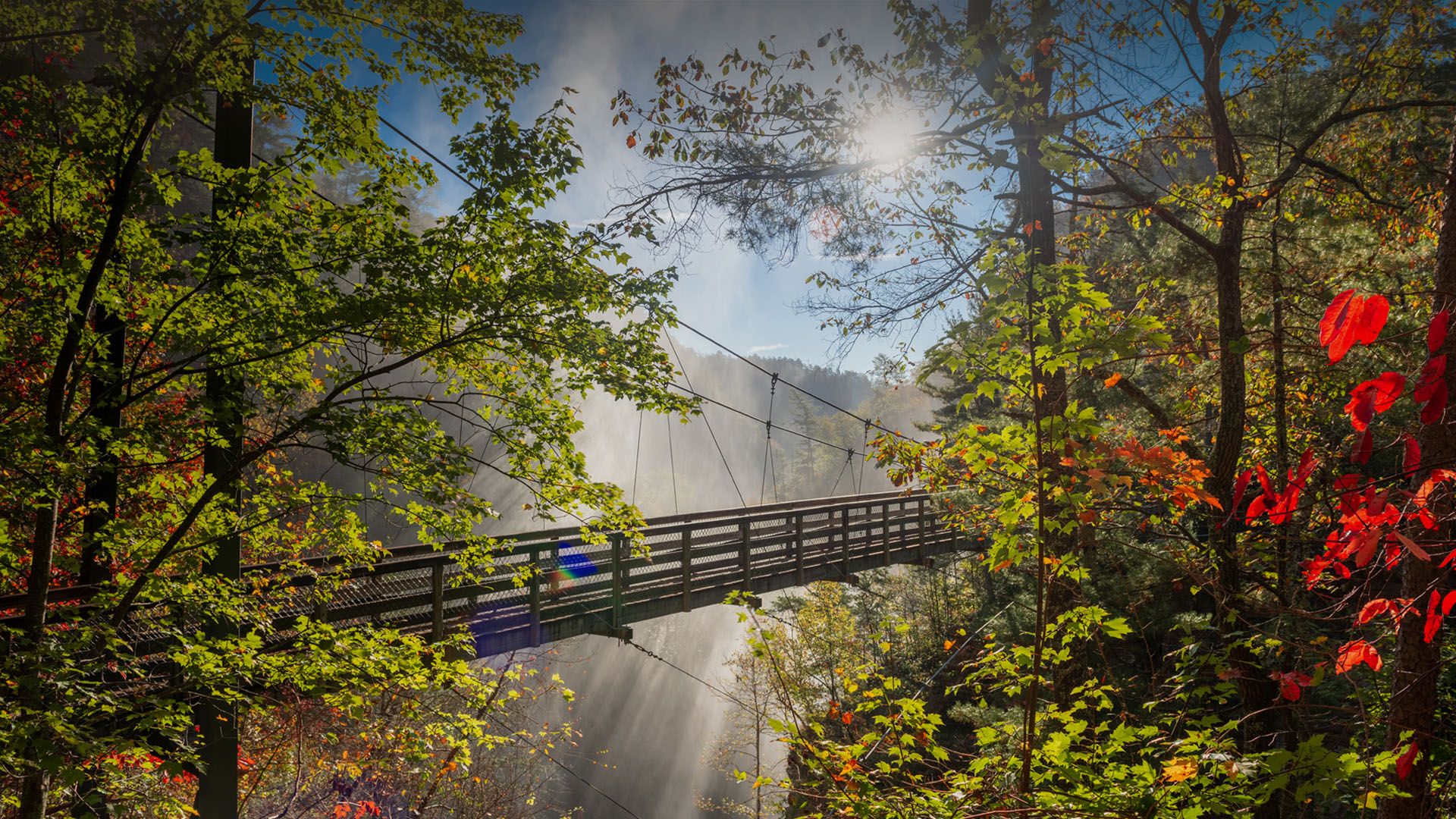 1920x1080 Overlooking Tallulah Gorge at autumn sunrise, Tallulah Falls, Georgia, USA. Windows Spotlight Image