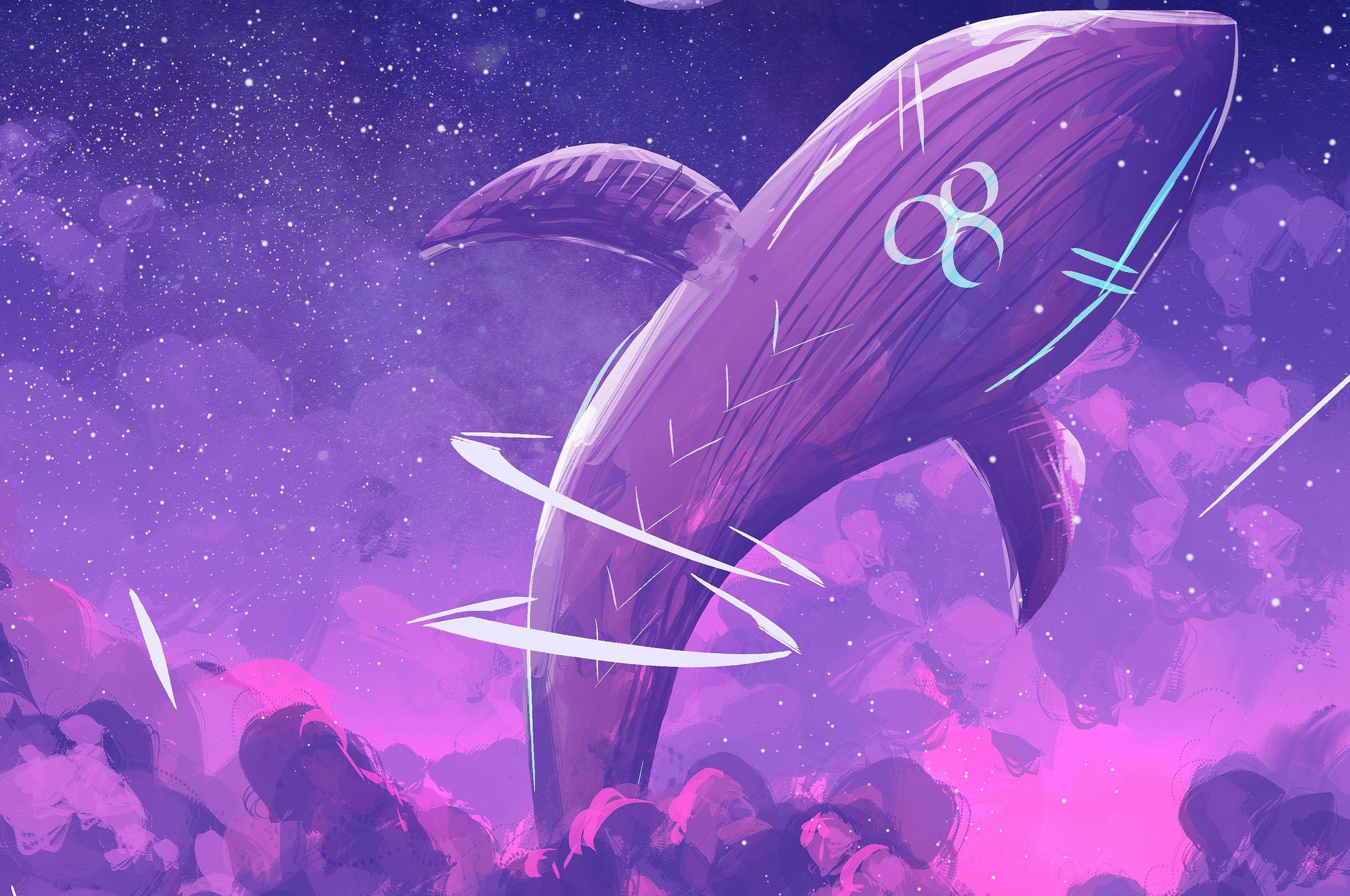 2560x1700 Whale Away 4k Chromebook Pixel HD 4k Wallpaper, Image, Background, Photo and Picture