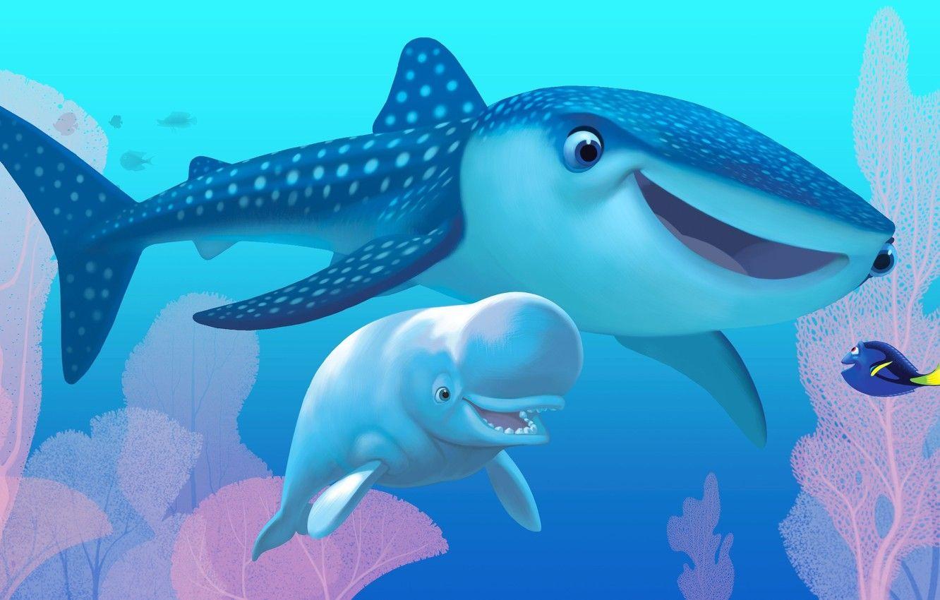 1332x850 Wallpaper white, Pixar, sea, ocean, water, cartoon, friendship, shark, fish, friends, drawing, reef, whale, adventure, sugoi, subarashii image for desktop, section фильмы