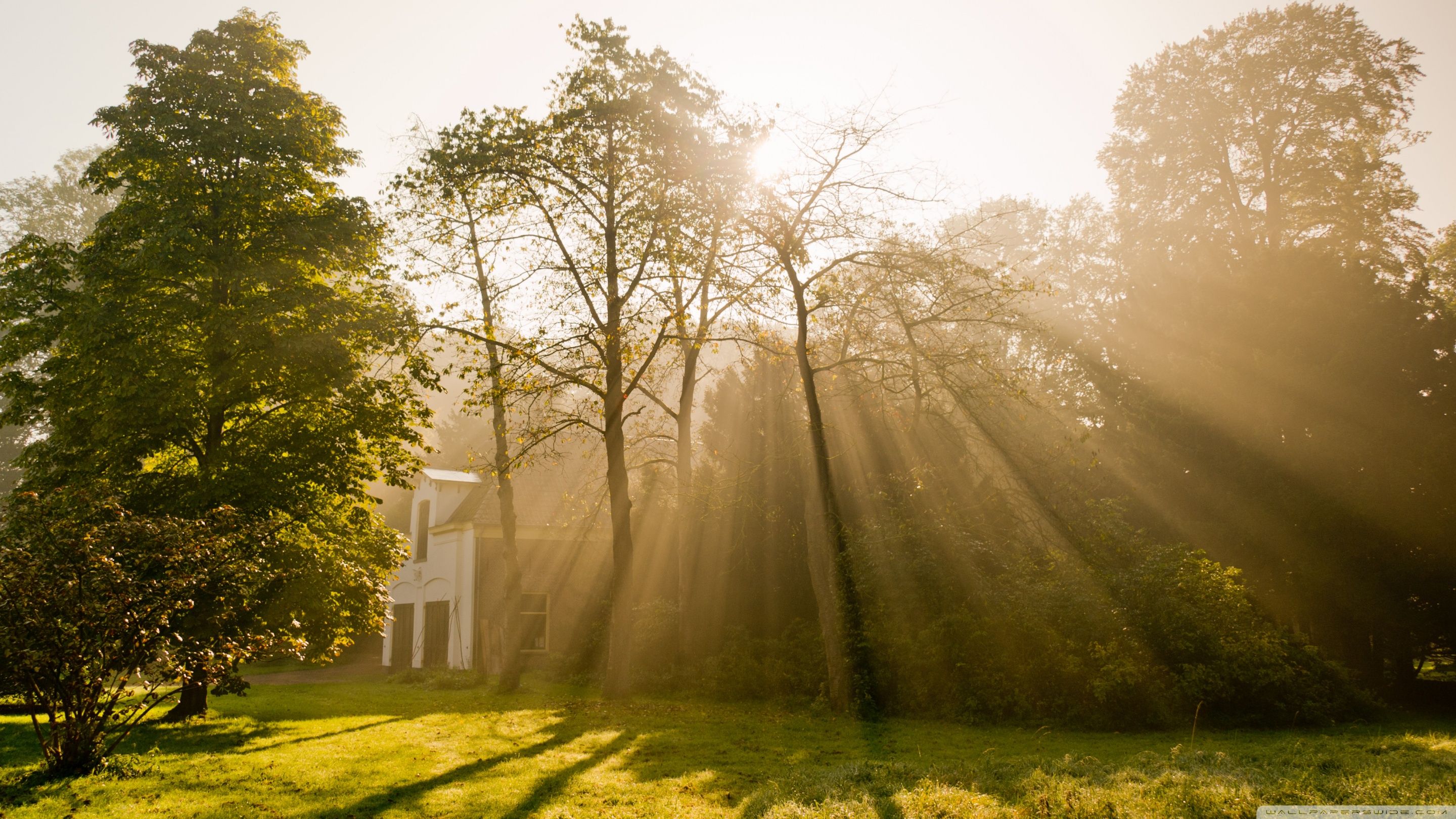2880x1620 God's Rays 4K UHD Wallpaper for UltraHD Desktop and TV : Widescreen and UltraWide Display : Dual Monitor : Smartphone and Tablet Devices
