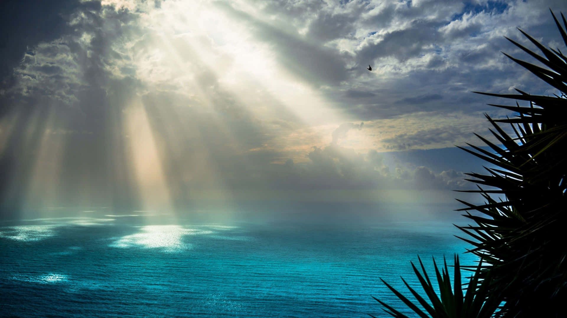 1920x1080 Sun Rays Wallpaper