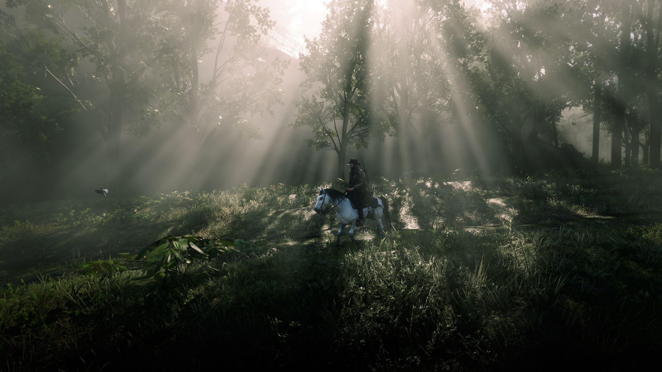 2560x1440 Best God Rays I've seen in any game- PC 1440p