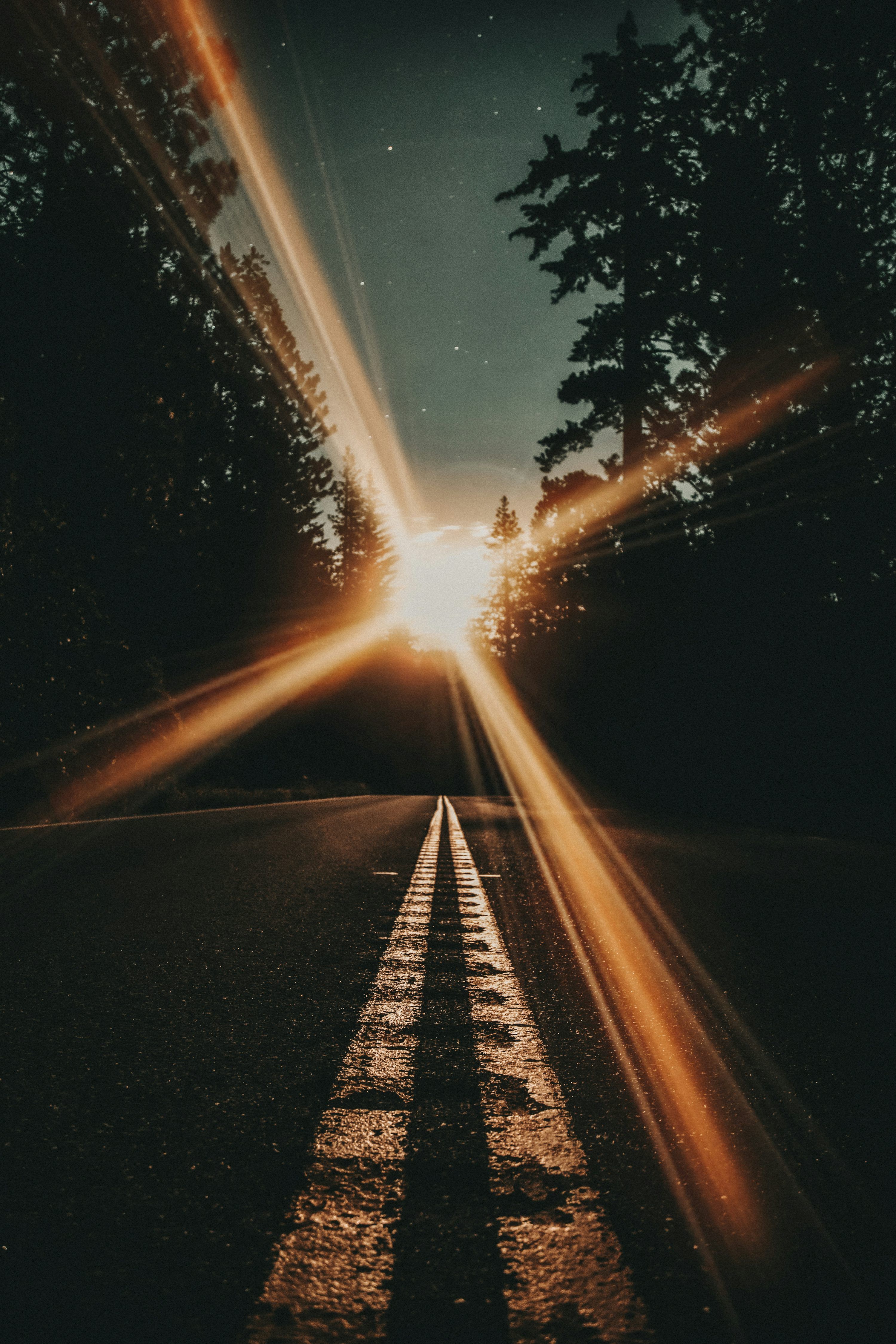 3000x4500 Sun rays coming through trees photo
