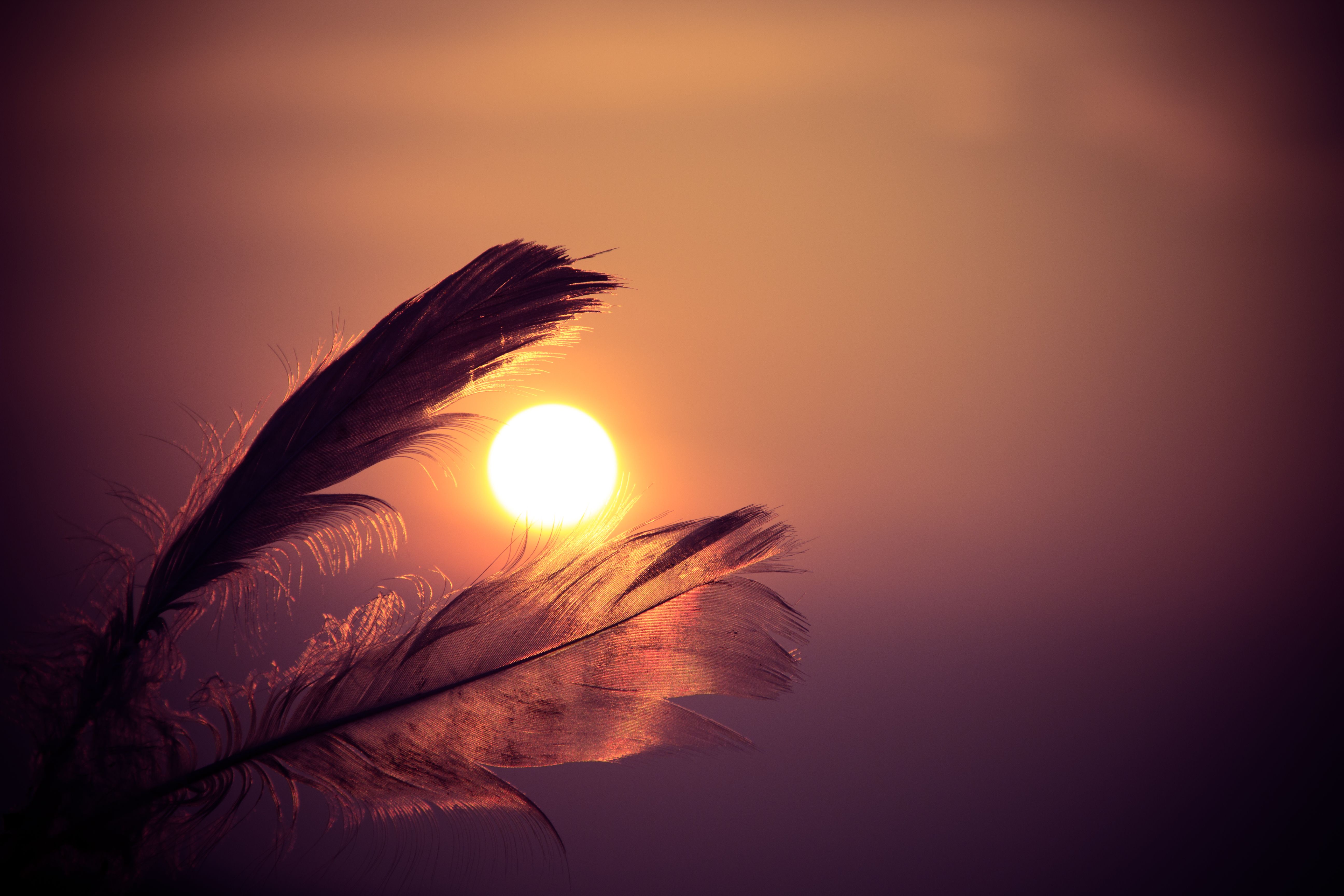 5184x3456 Wallpaper Brown Feather With Sun Rays, Background Free Image
