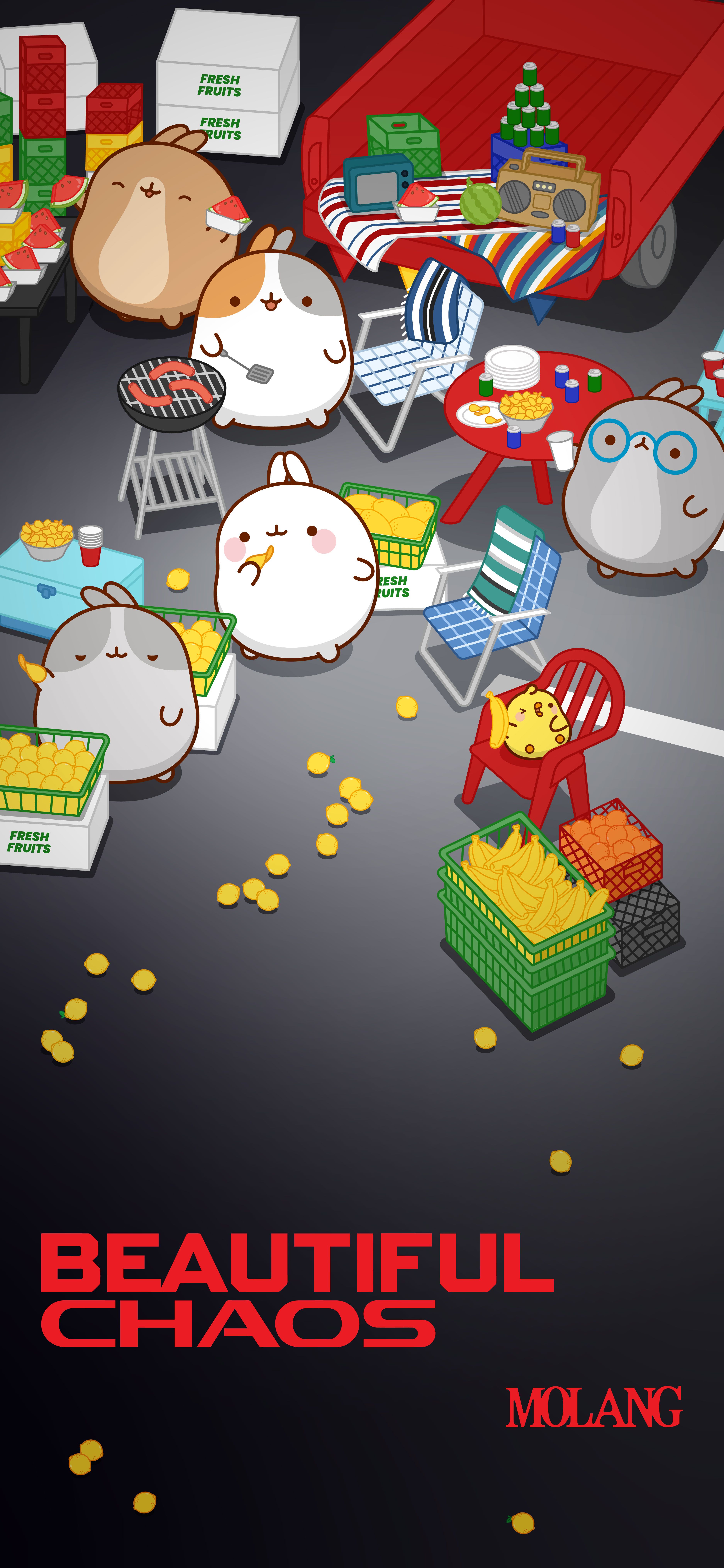3750x8125 Molang Website