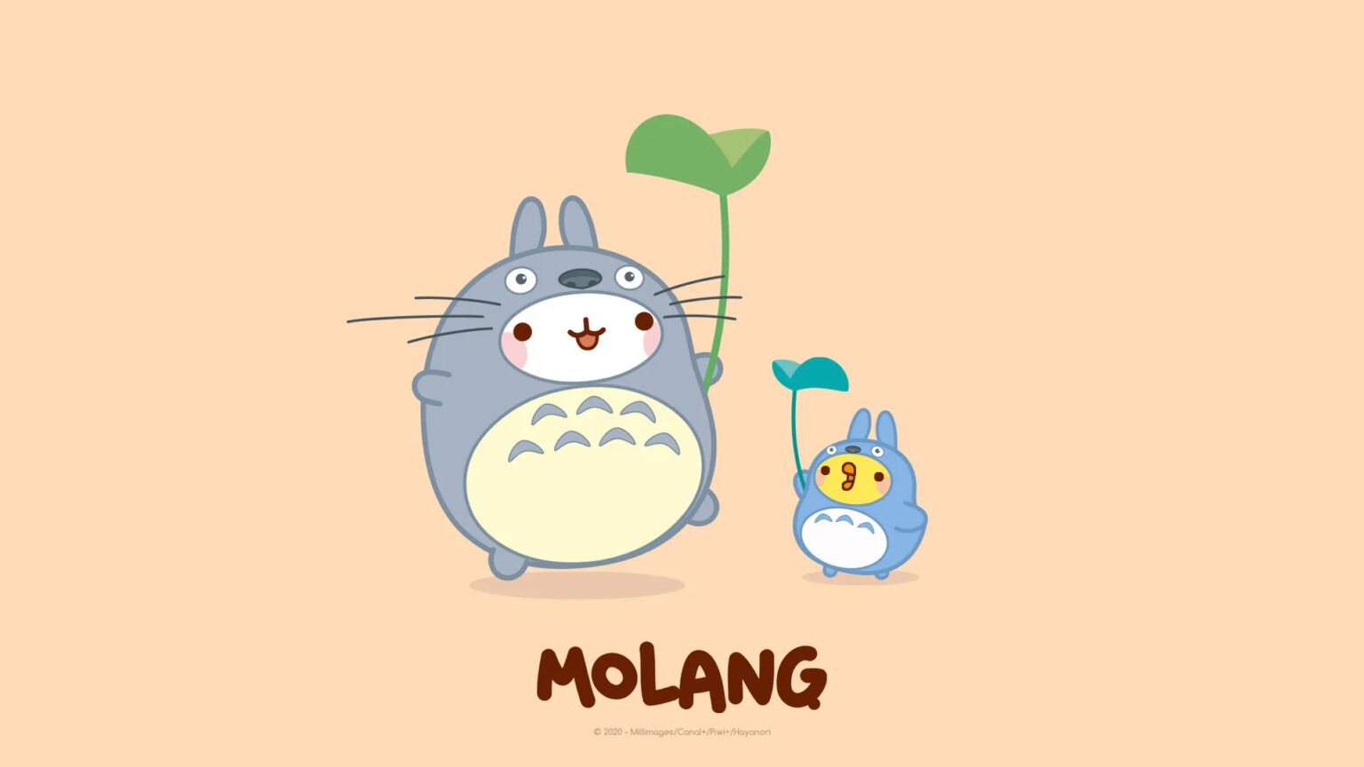 1536x864 Molang & Totoro Desktop Wallpaper