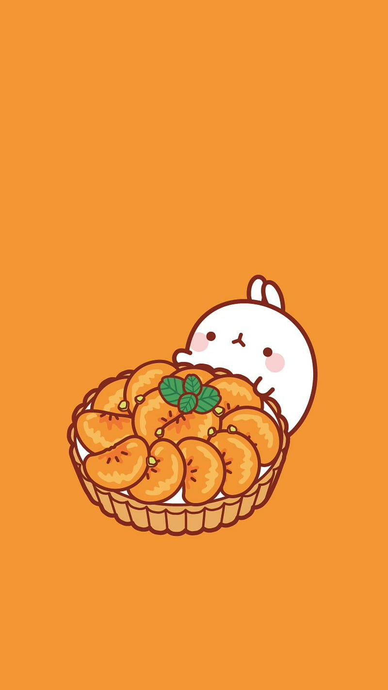 800x1421 Molang, cute, HD phone wallpaper