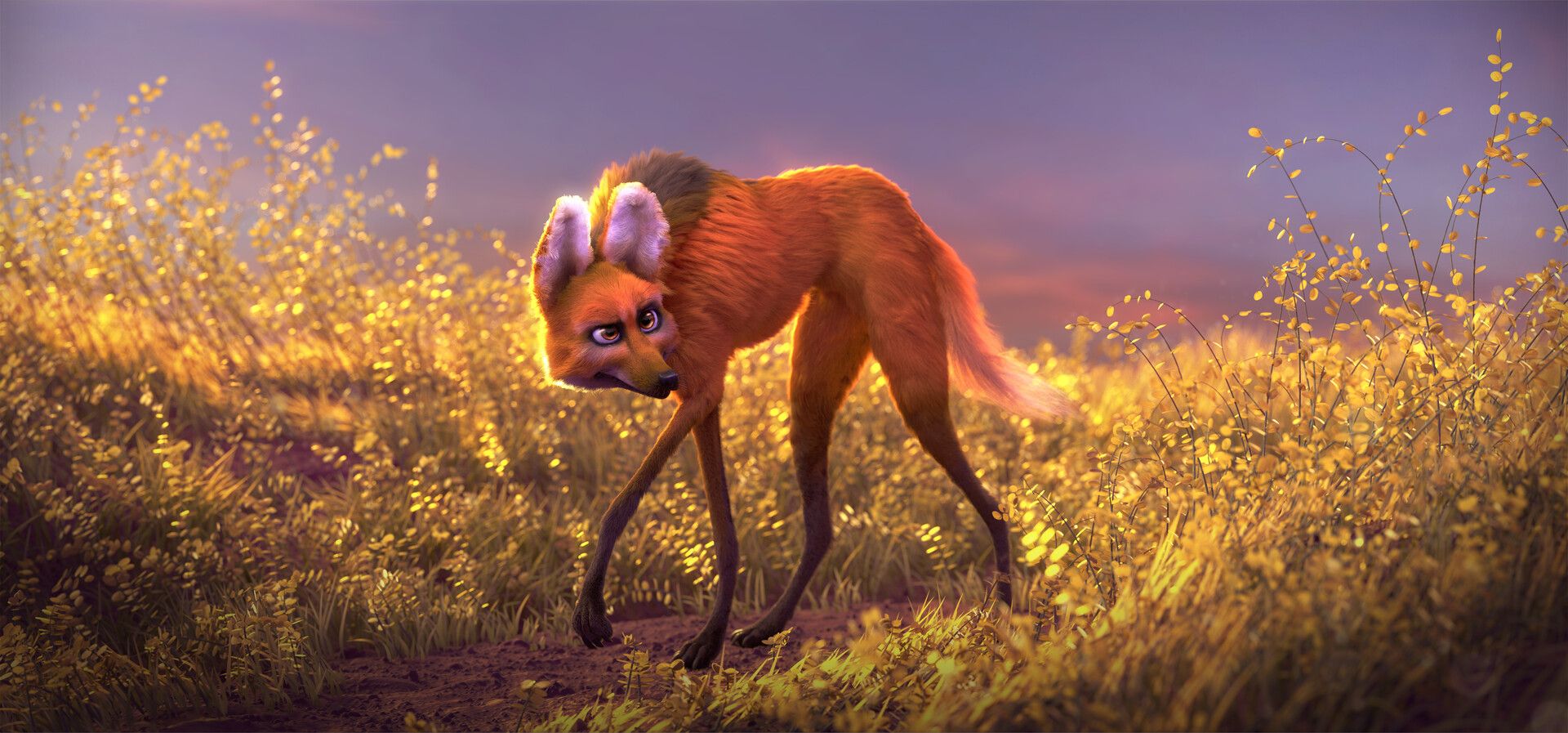 1920x897 Humberto Rodrigues Wolf Guará