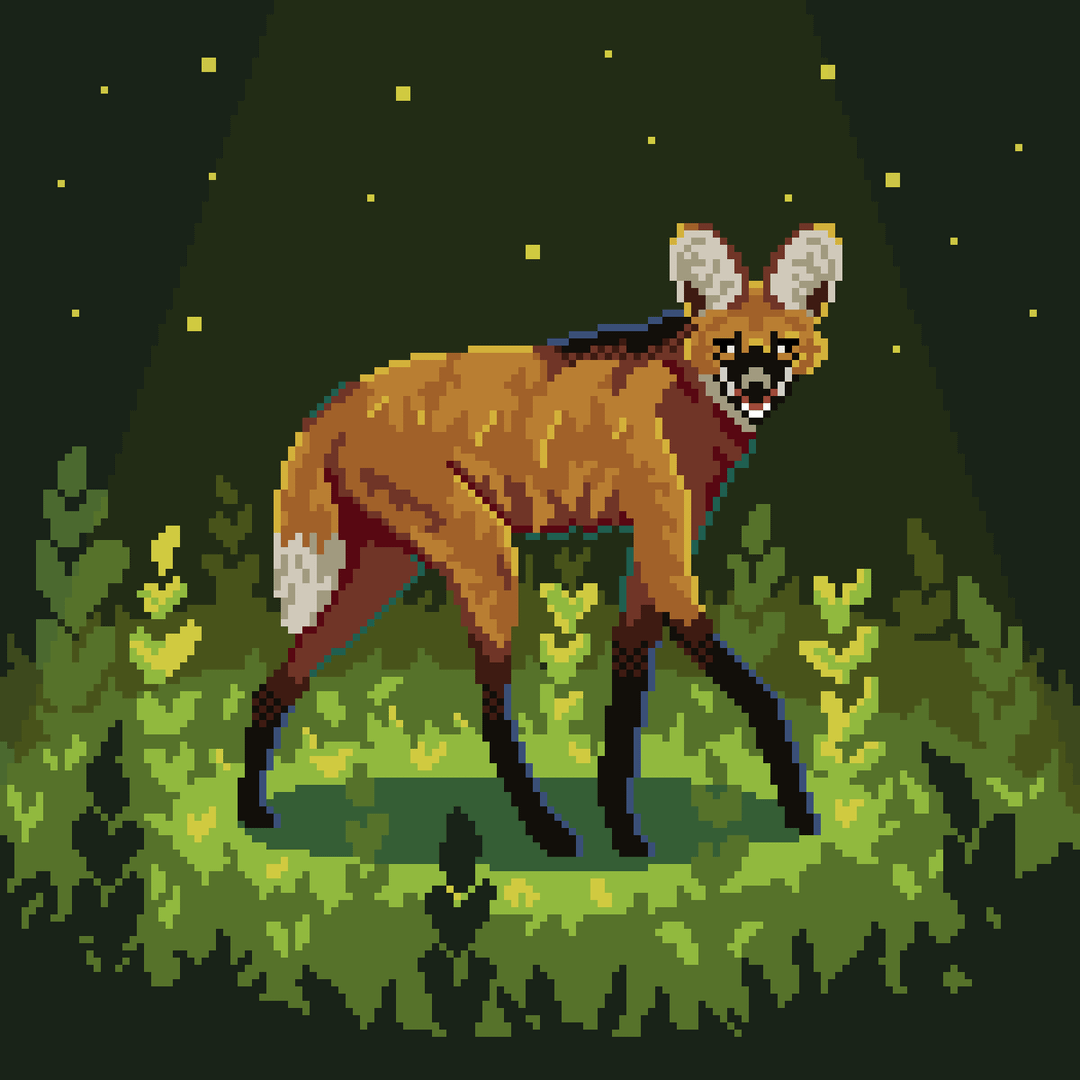 1080x1080 Maned Wolf