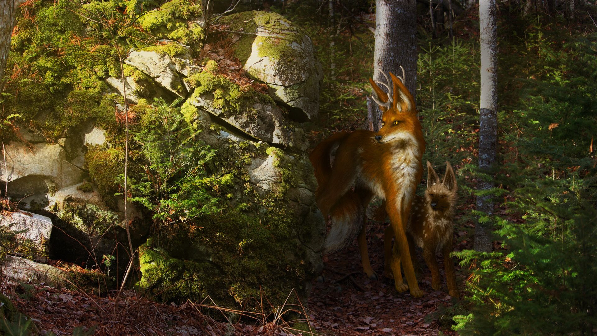 1920x1080 Celina Campbell Wolf Deer