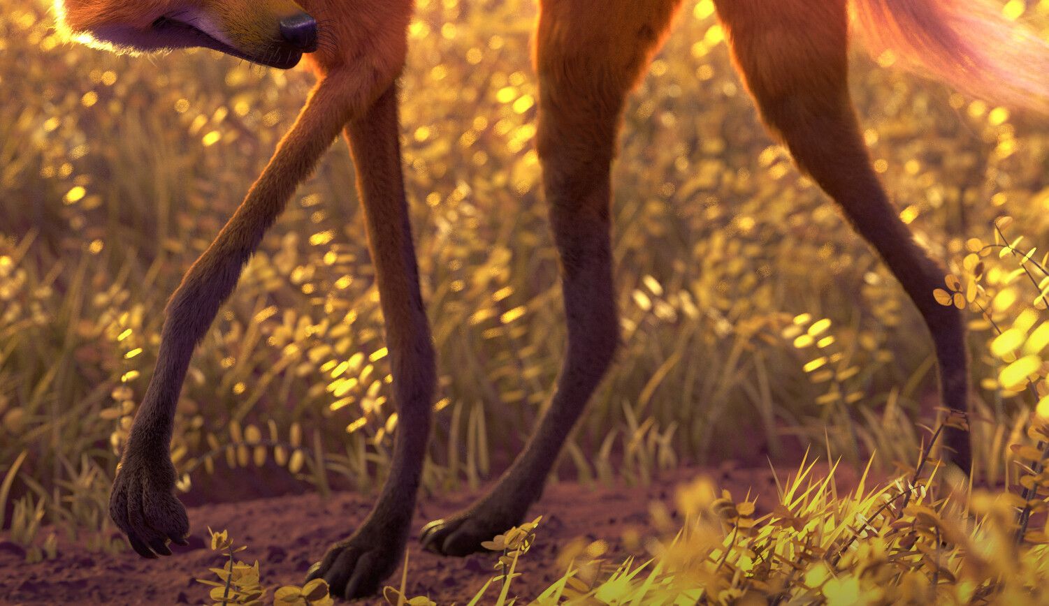 1501x868 Humberto Rodrigues Wolf Guará