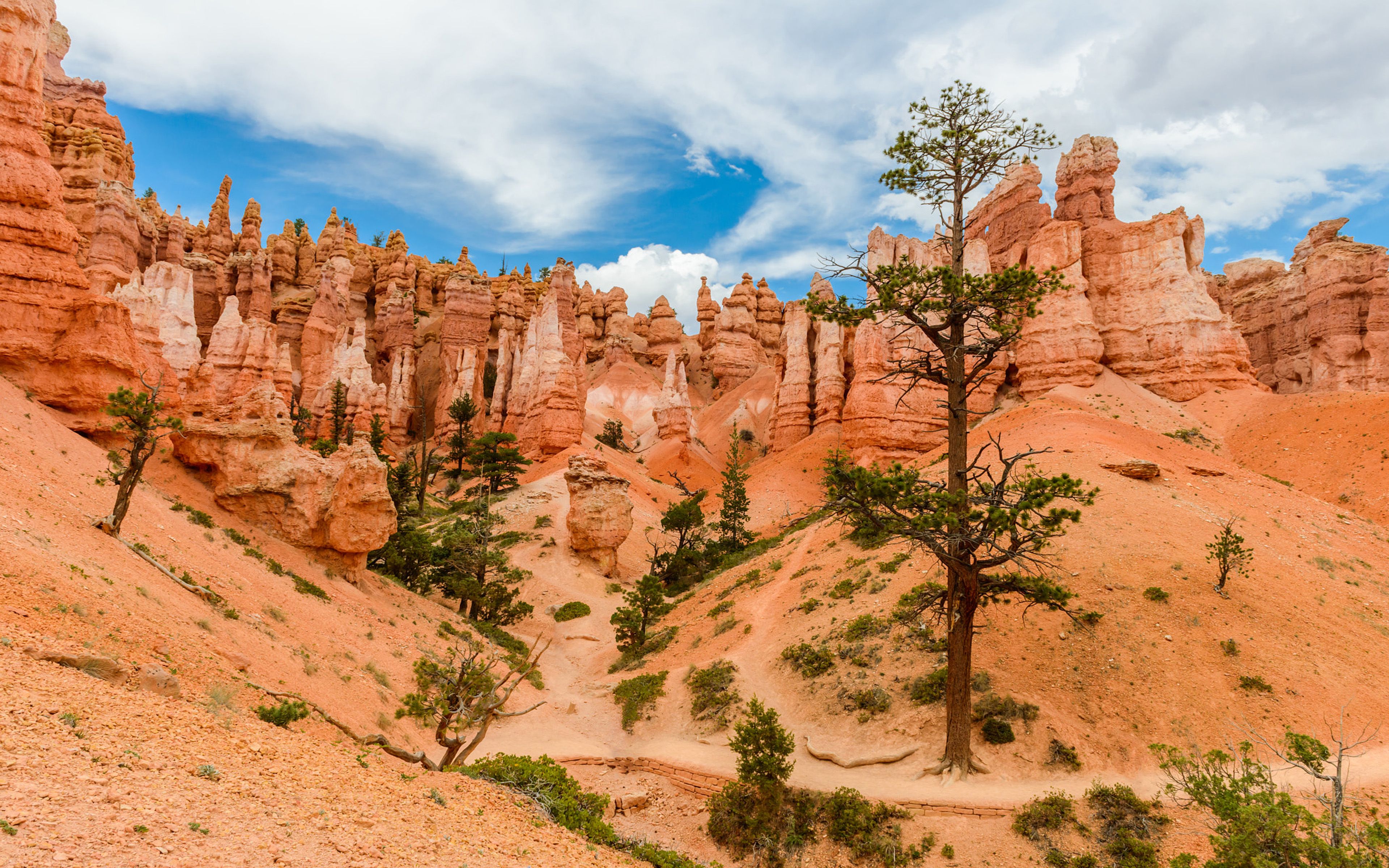 3840x2400 Bryce Canyon Desertscape