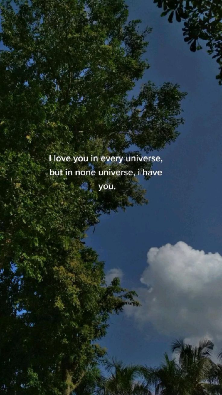 736x1308 i love you in every universe