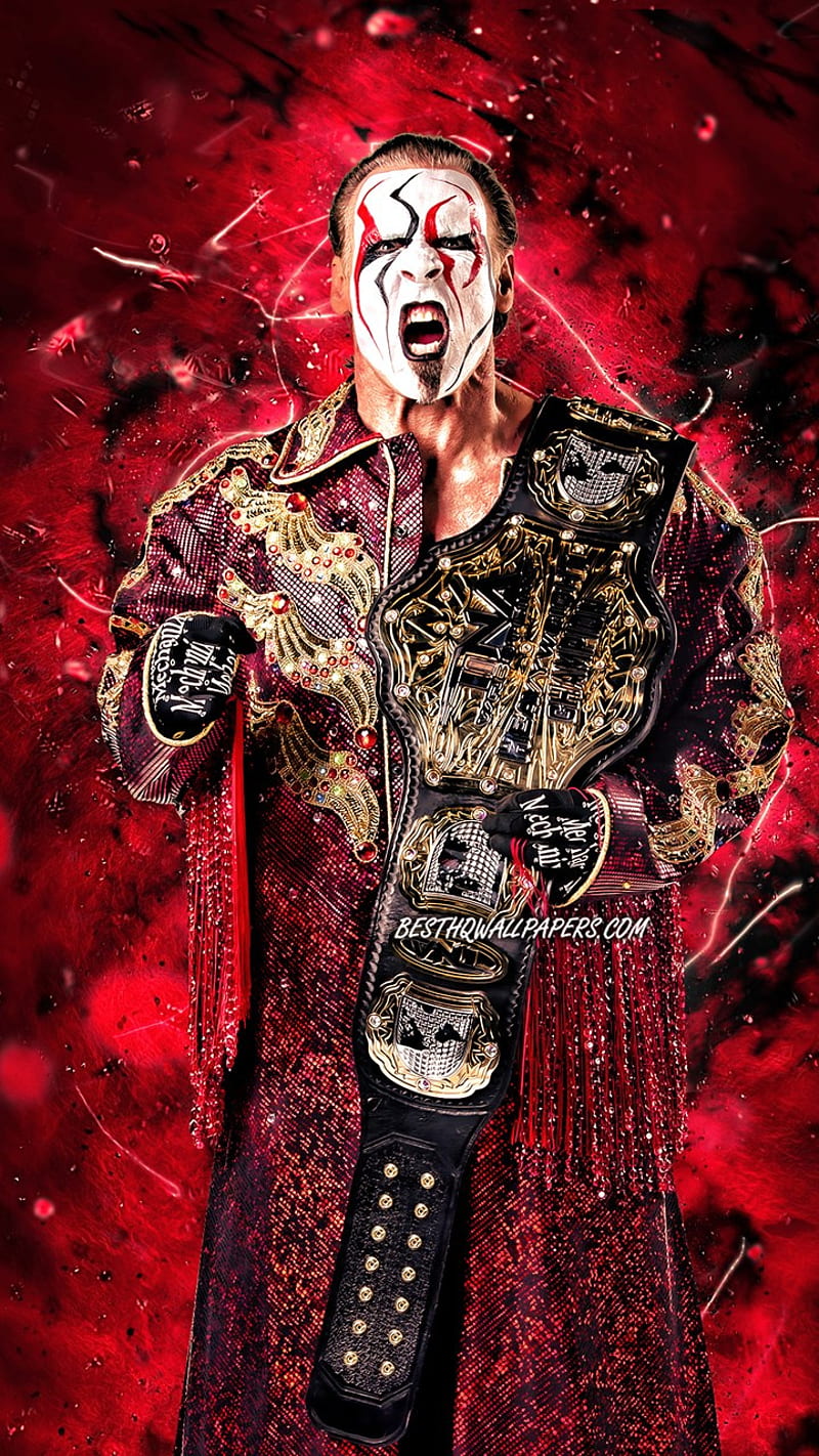 800x1422 Sting, the icon, tna, HD phone wallpaper