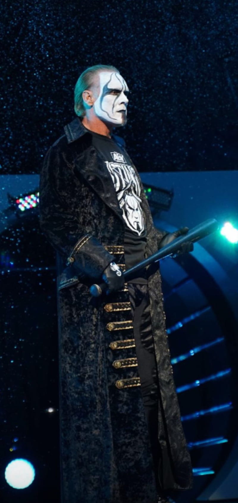 800x1685 HD the icon sting wallpaper