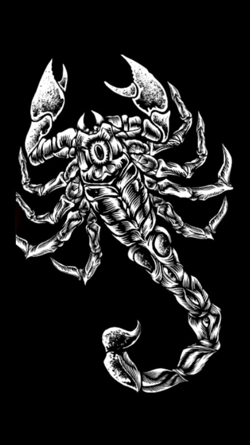 800x1422 Sting, logo, nwo, nxt, raw, scorpion, smackdown, tna, wcw, wwe, HD phone wallpaper
