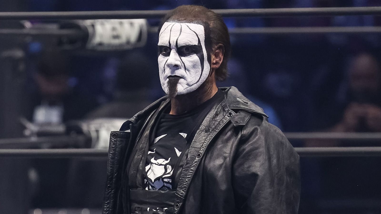1600x900 Things Everyone Gets Wrong About The Icon Sting