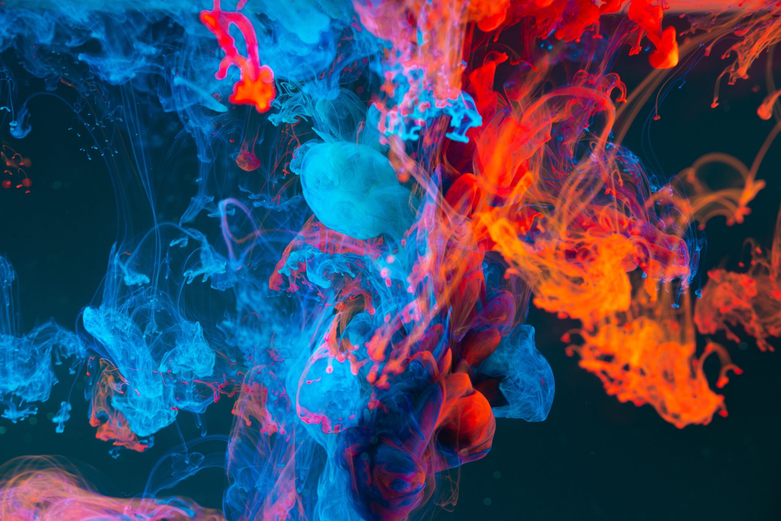 2560x1707 Reading in colors