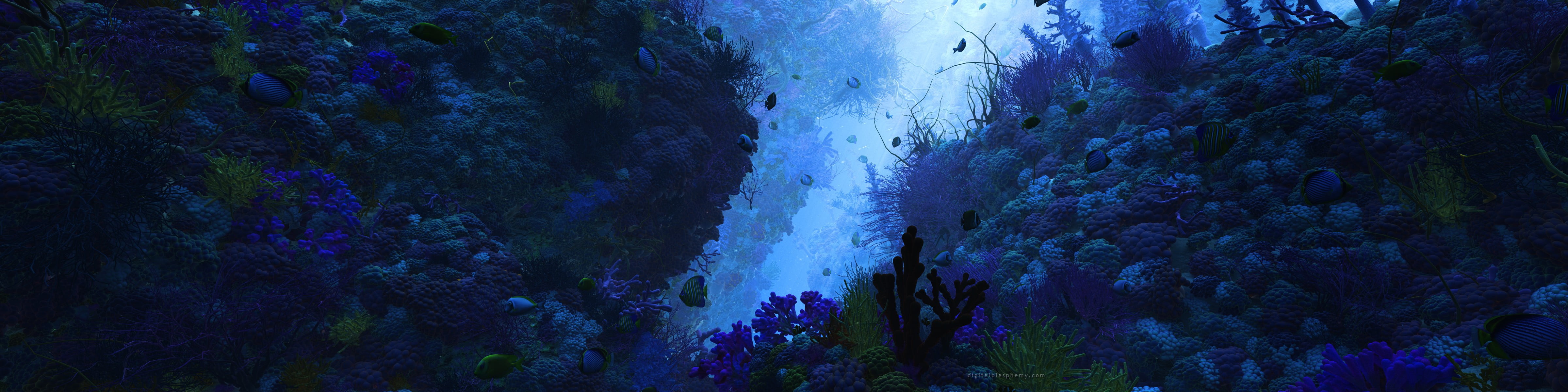 4800x1200 Ocean reef digital wallpaper, multiple display, underwater, fish, nature HD wallpaper