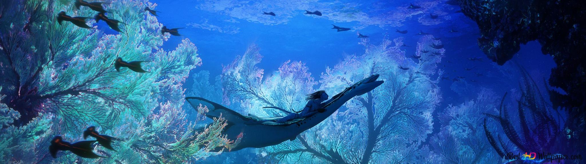 2048x576 Avatar movie sequel second series underwater footage 2K wallpaper download