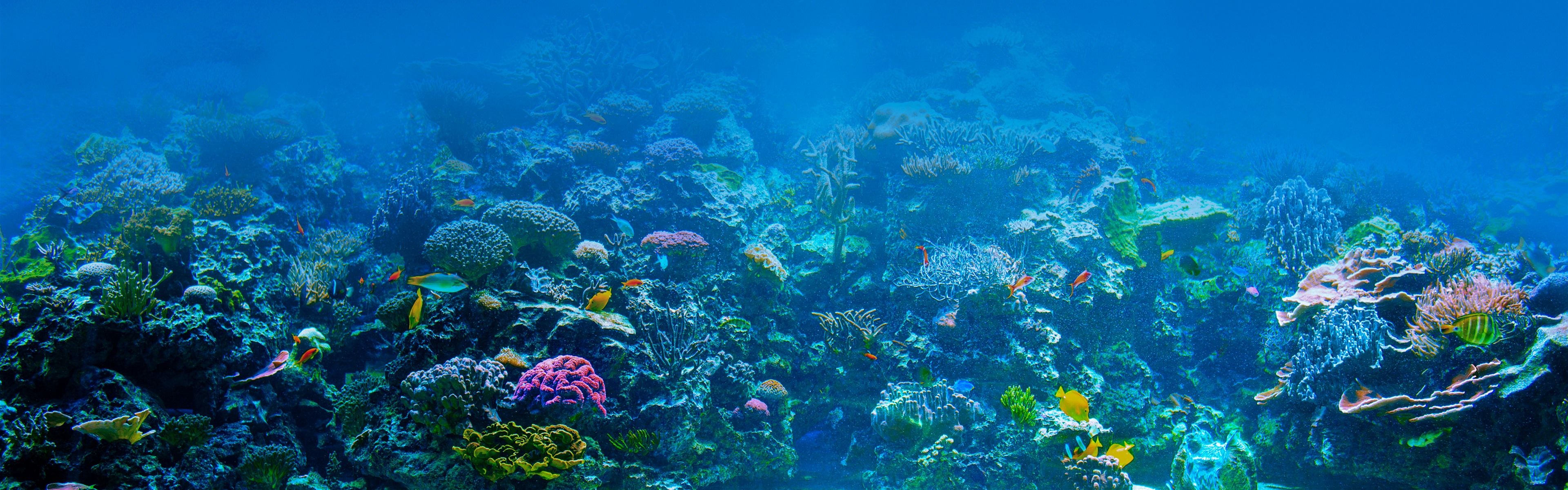 3840x1200 Wallpaper Blue sea, underwater, sun rays, fish, coral 7680x4320 UHD 8K Picture, Image