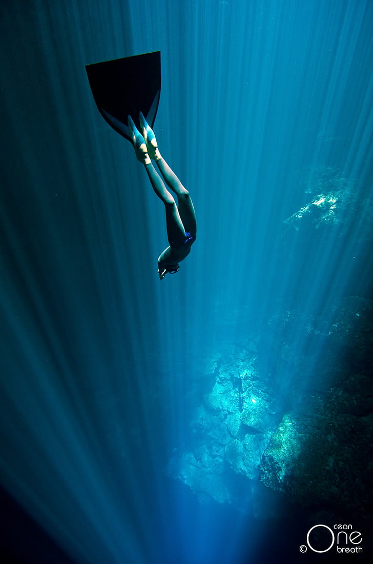 728x1100 HD Wallpaper: Divers Nature Sea, One Person, Underwater, Full Length, Mid Air