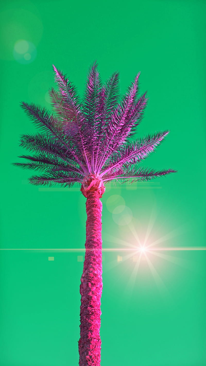 800x1422 Green World, beach, nature, outdoors, graphy, psicodelia, retrowave, surreal, HD phone wallpaper