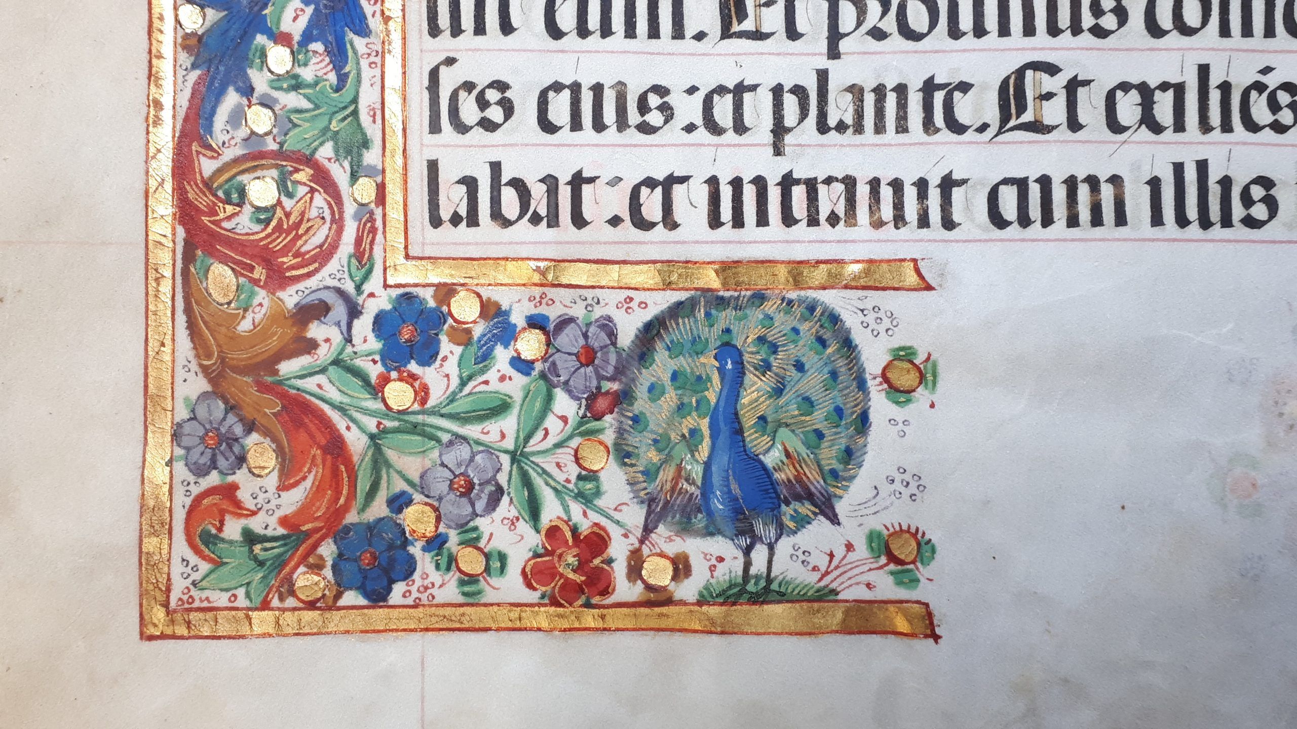 2560x1440 medieval manuscripts Archives