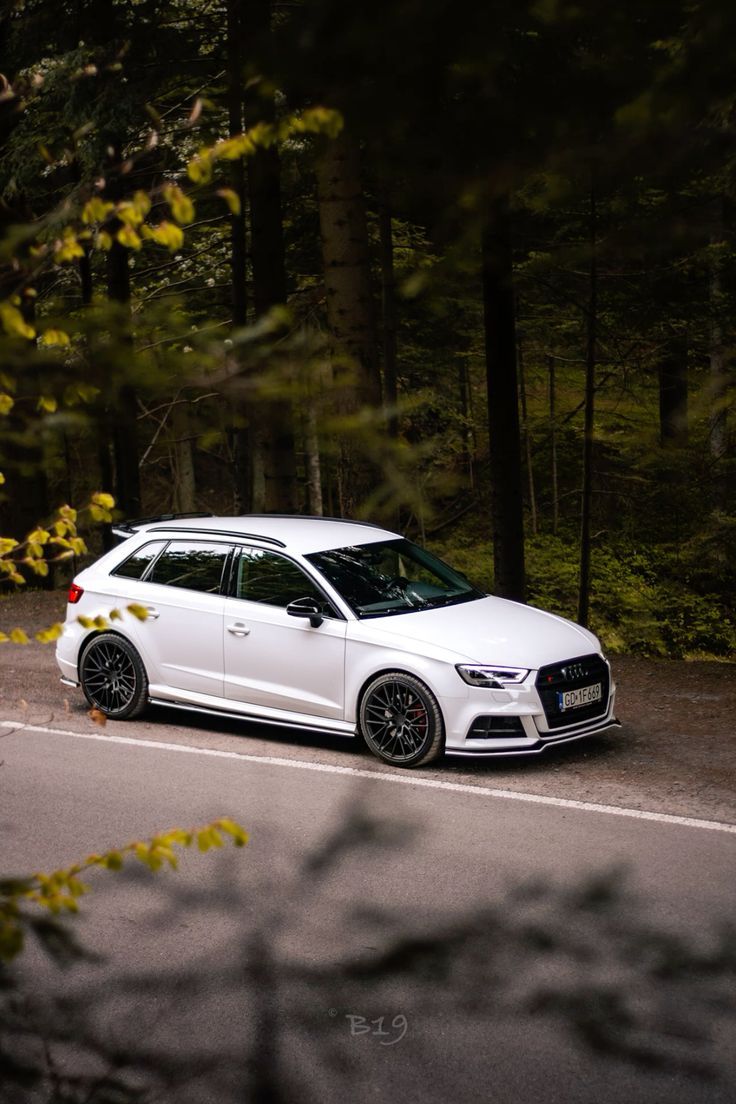736x1104 Audi S3 8V sportback