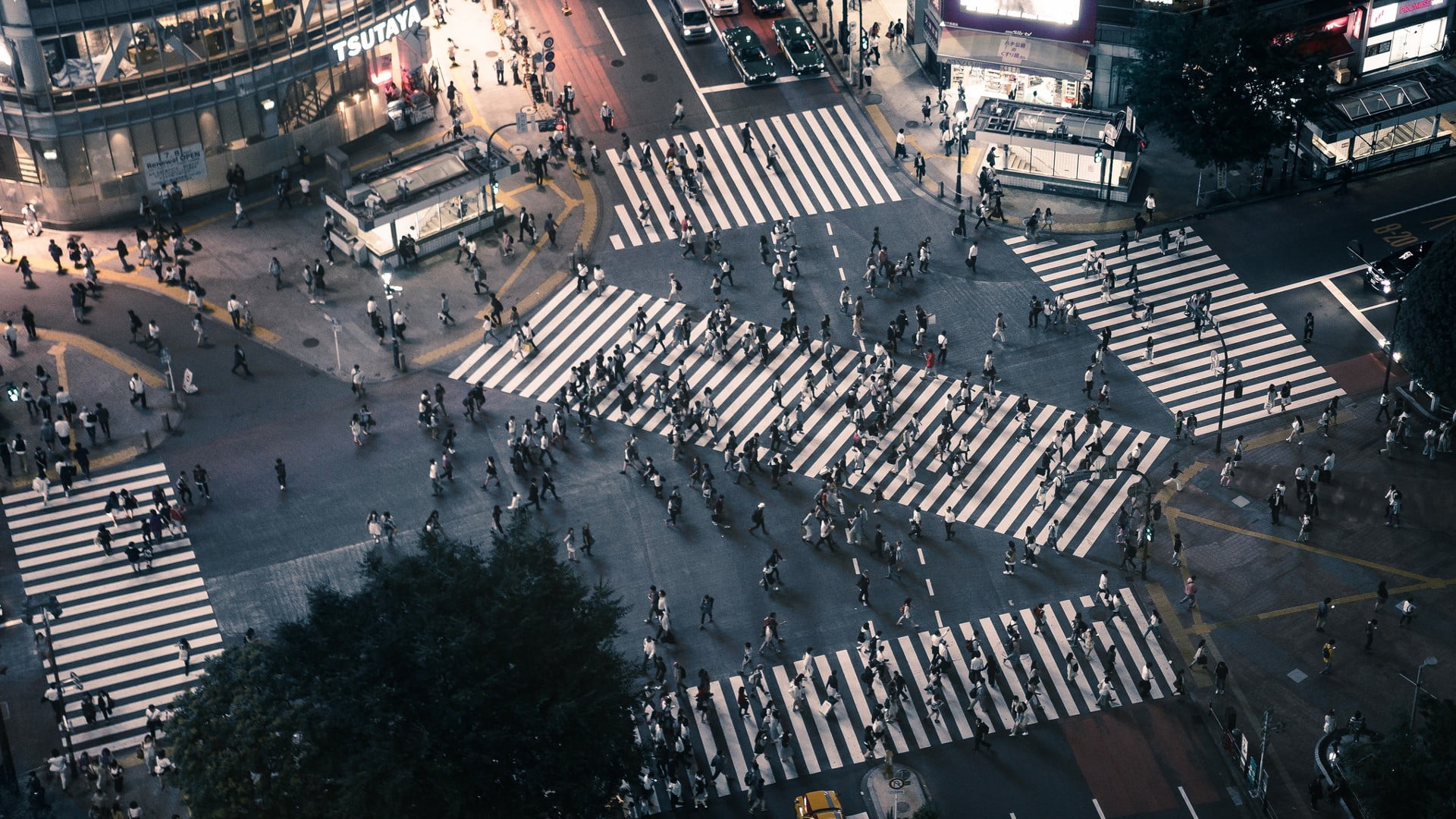 1920x1080 Bird's eye view photo of people crossing streets HD wallpaper