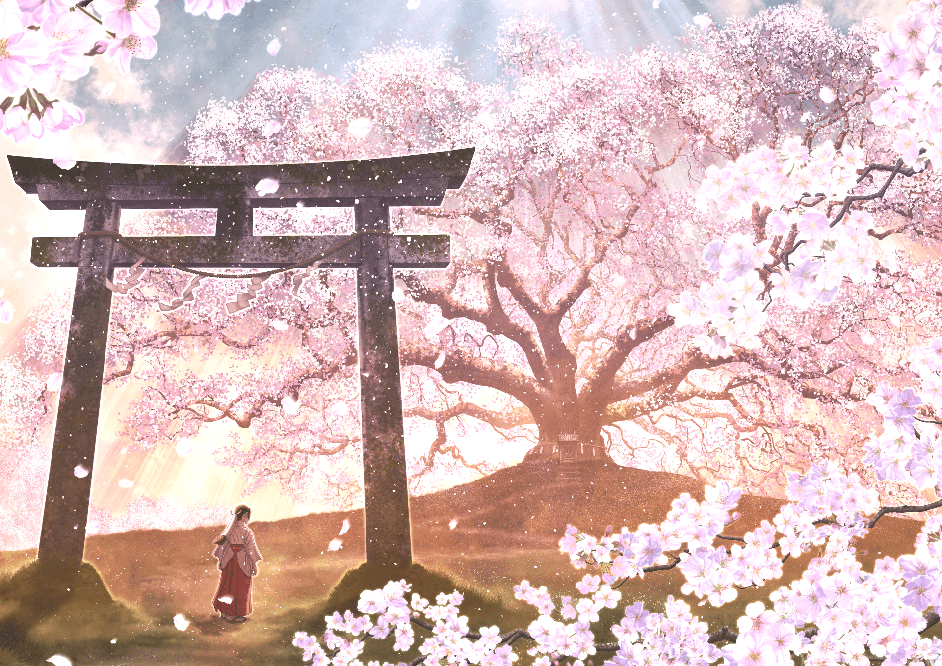 1920x1357 Cherry Blossom Shrine Anime Wallpaper