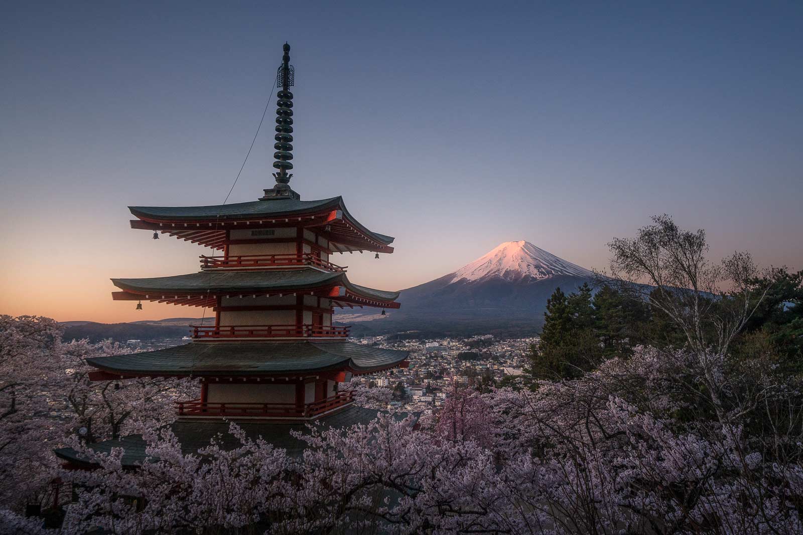 1600x1067 Japan Sakura Photo Tour 2027 ⛩️ Cherry Blossoms in Spring