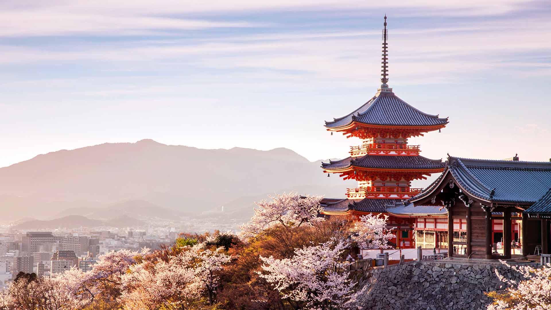 1920x1080 Cherry Blossoms in Kyoto: 14 Best Places To See Sakura