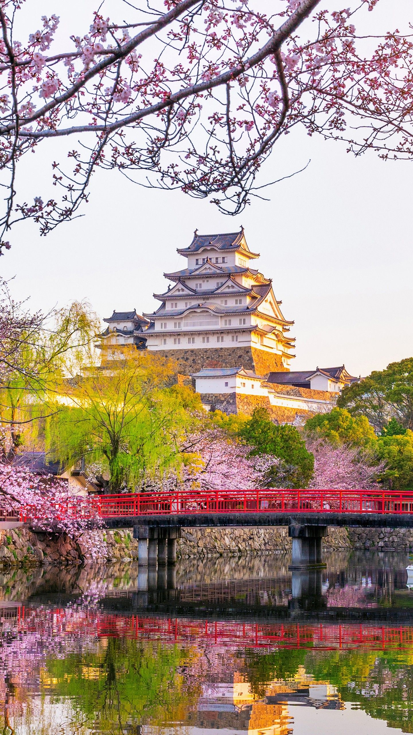 1440x2560 Blossom Castle Himeji Castle Japan Reflection Sakura Spring 4K 5K HD Travel Wallpaper