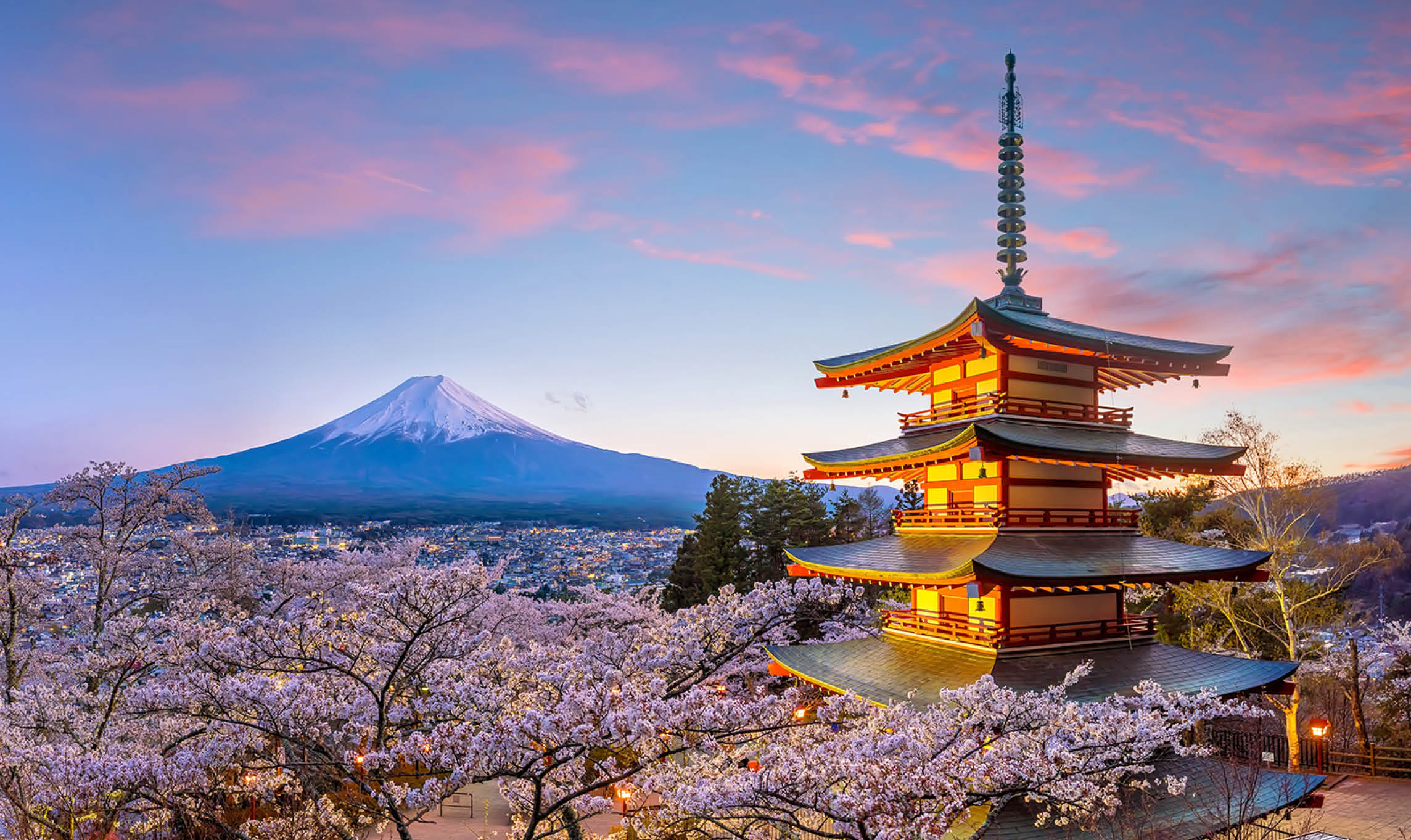 2288x1362 Day Cherry Blossoms Of Japan