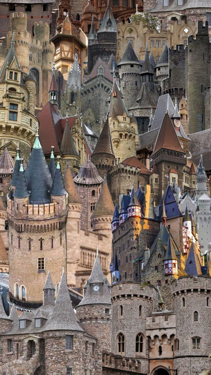 736x1308 castle #castleaesthetic #medieval #royal #royalcore #history #wallpaper