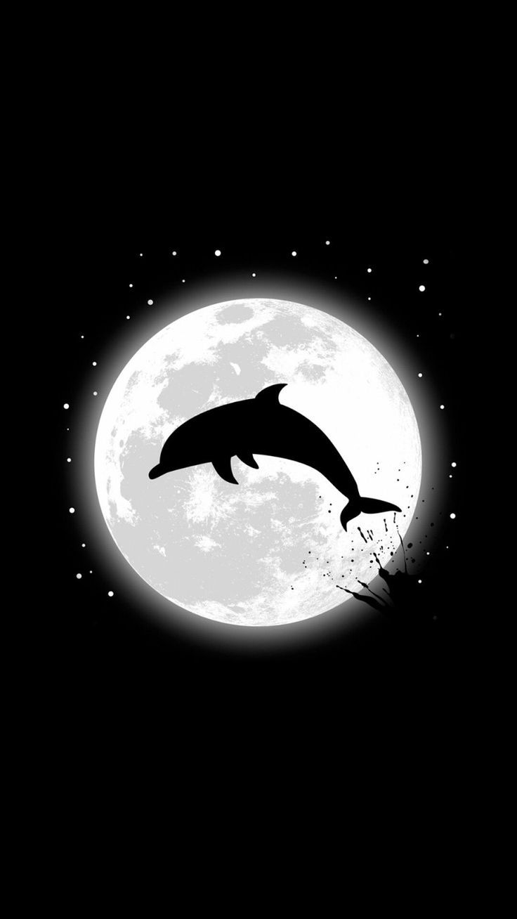 736x1308 Amoled Dolphin iPhone Wallpaper. Siyah sanat, Yunus, Sanat resimleri