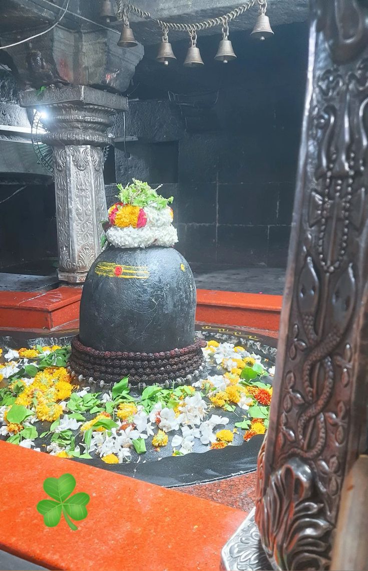 735x1139 Nageshwar